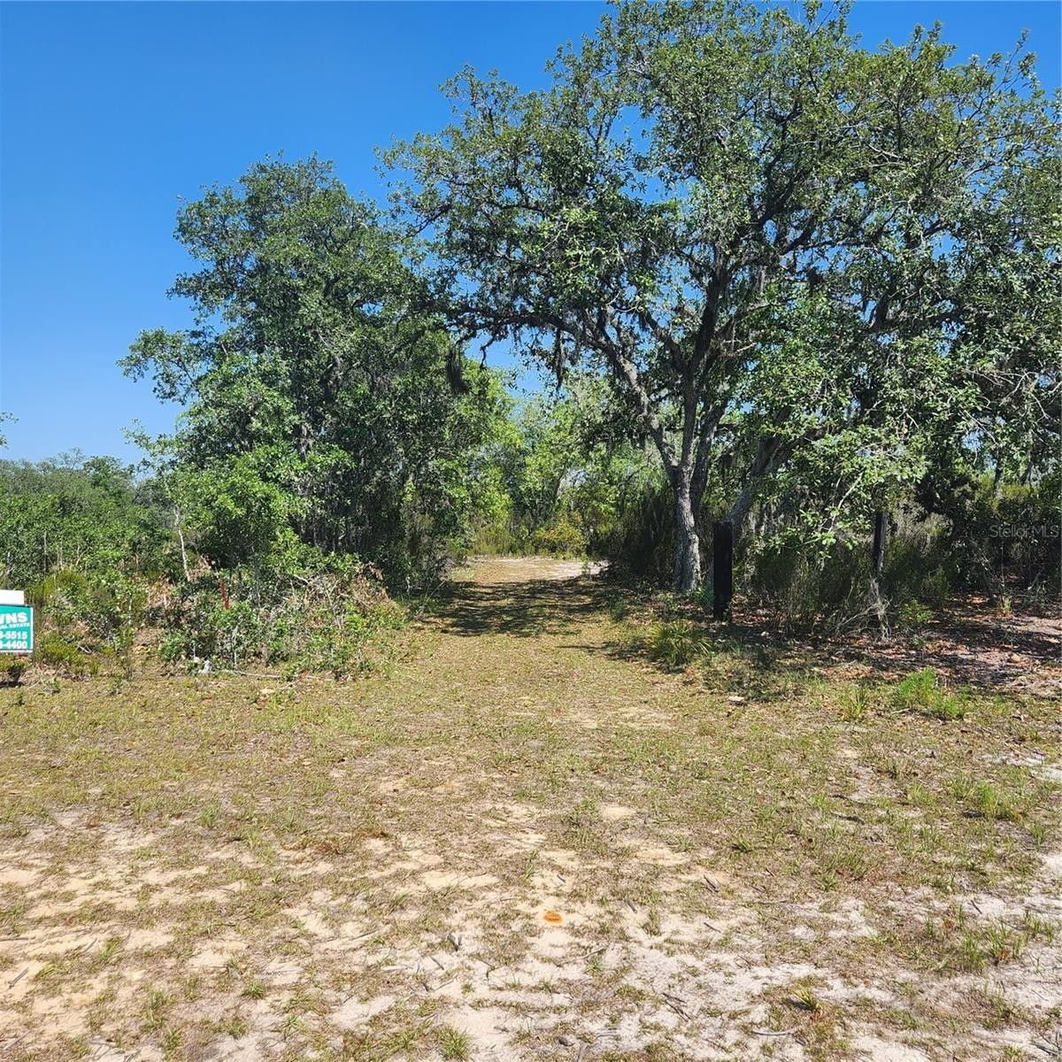 20.01 Acres, NE 53RD LANE, Bronson, FL 32621 Land and Farm
