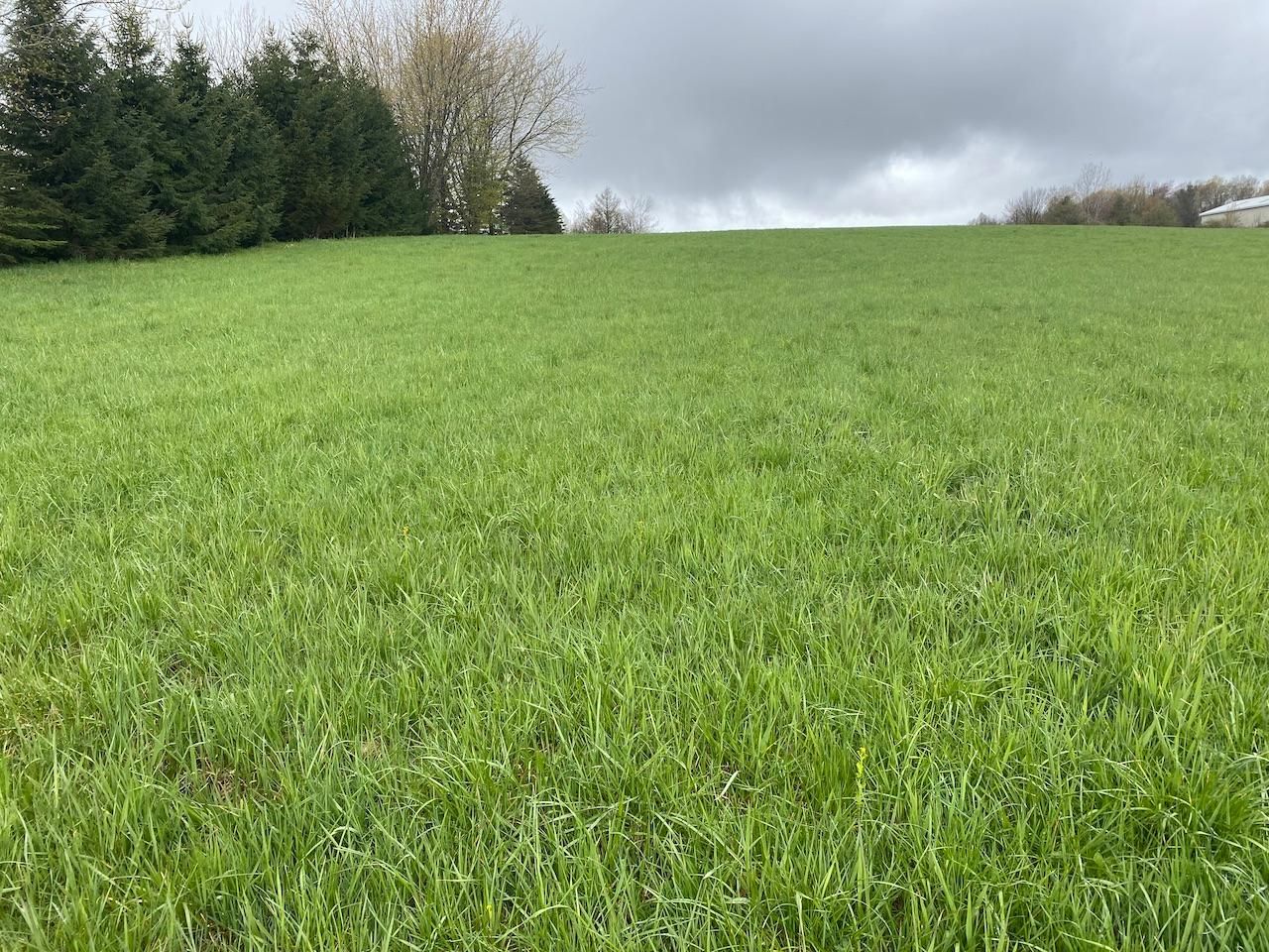 Maxon Road, Sheldon, NY 14145 Land and Farm