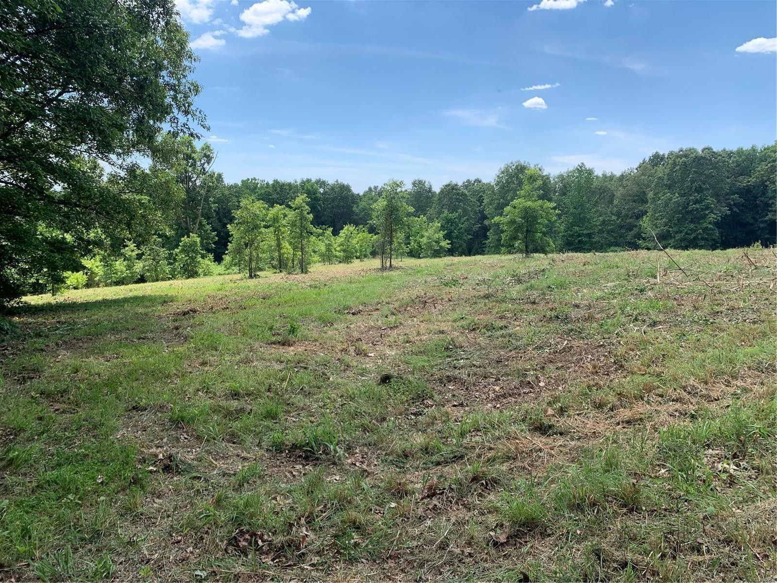 60 Acres, 0 County Road 389, Whitewater, MO 63785 Land and Farm