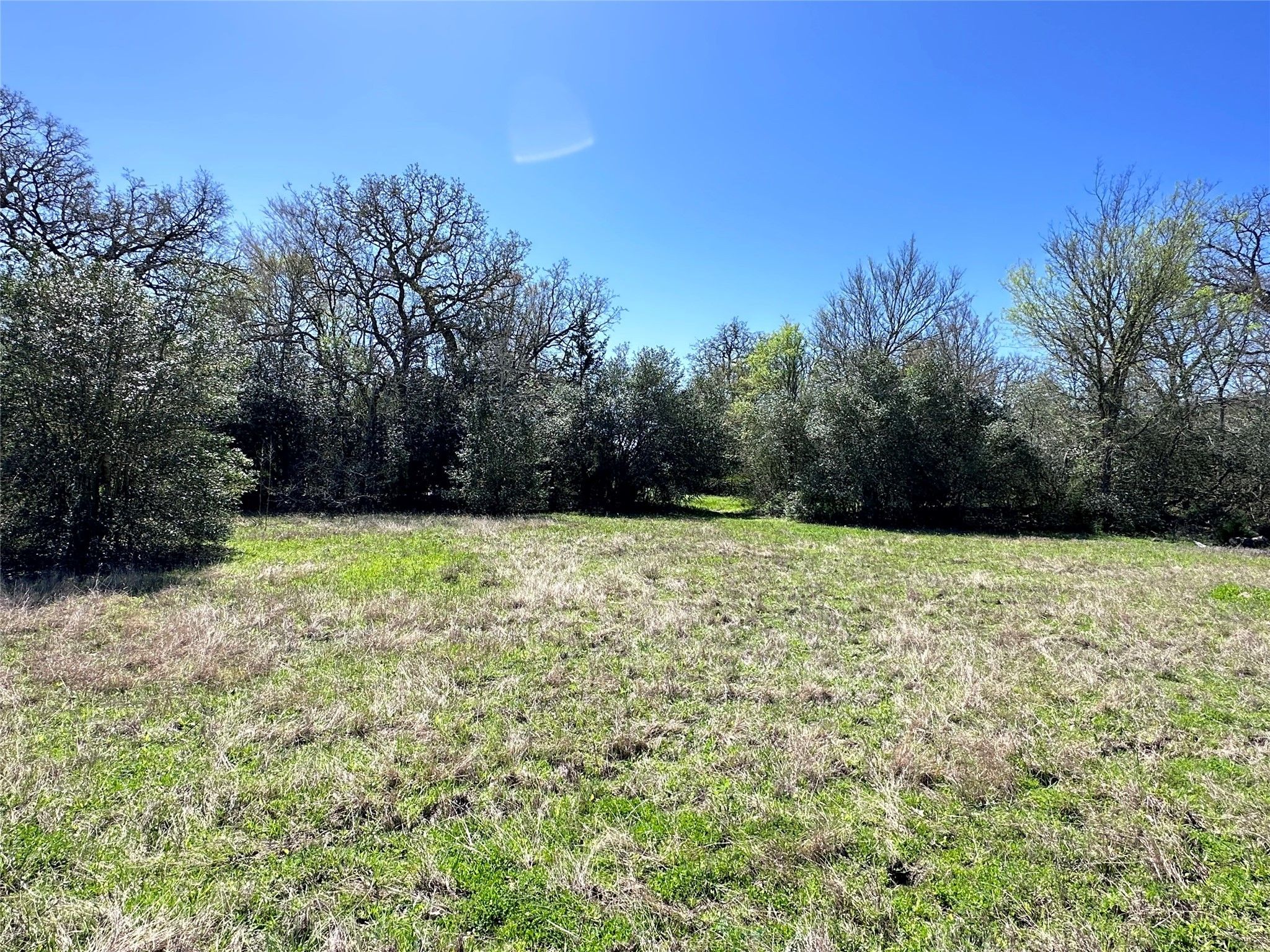 2 Acres, 10260 Cottontail Lane, Iola, TX 77861 Land and Farm