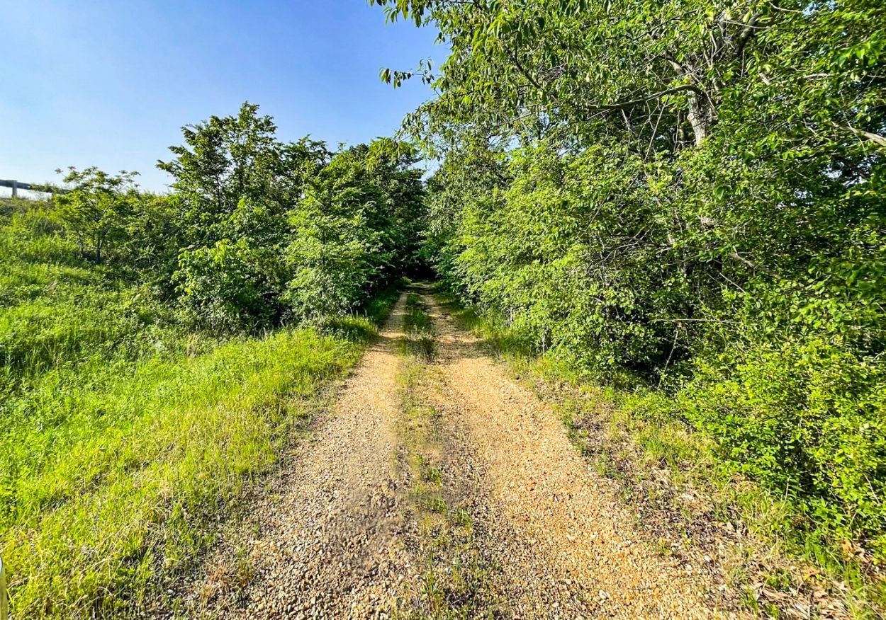 53 Acres, 14342 State Hwy 25, Dexter, MO 63841 Land and Farm