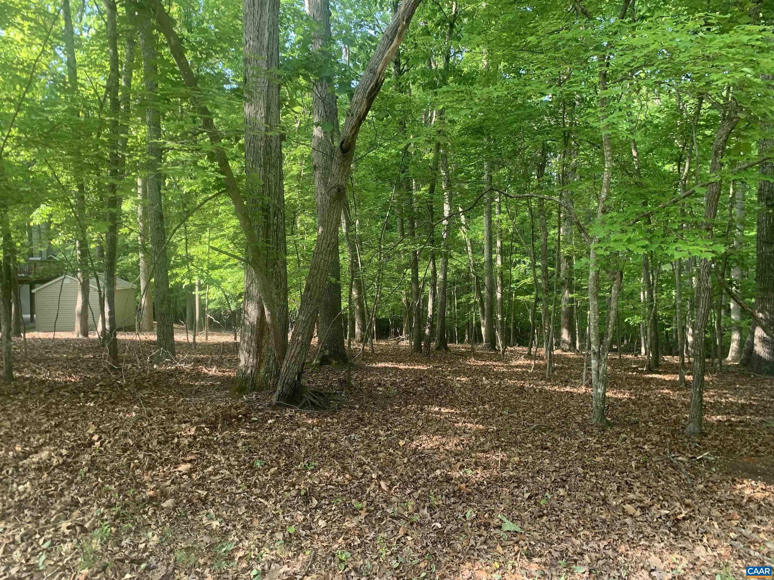 0.61 Acres, 4 PAR CT, Palmyra, VA 22963 Land and Farm