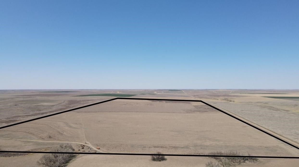 313.42 Acres, 0 County, Grinnell, KS 67738 Land and Farm