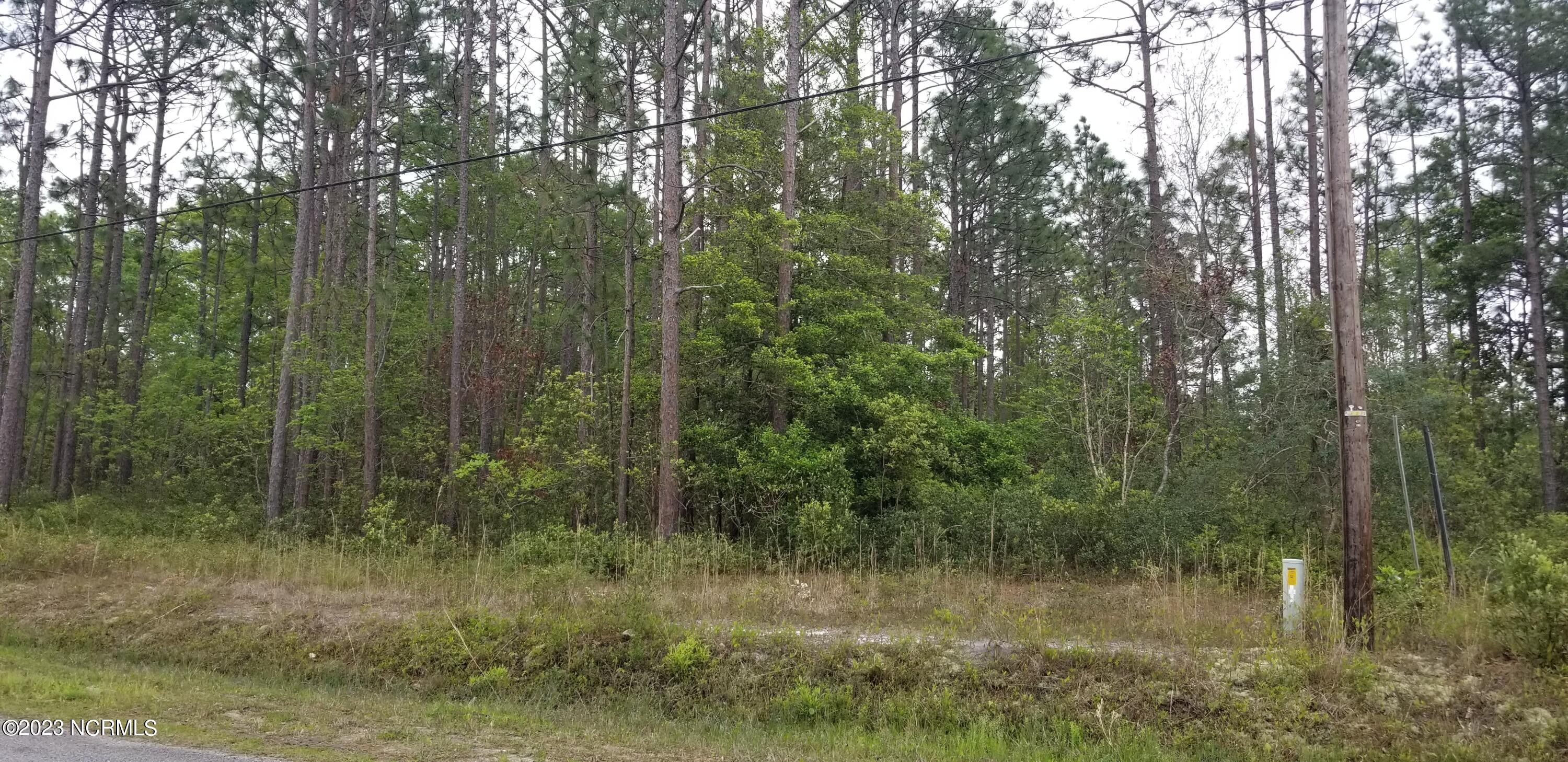 0.28 Acres, 7 Charlestown Road, Boiling Spring Lakes, NC 28461 Land