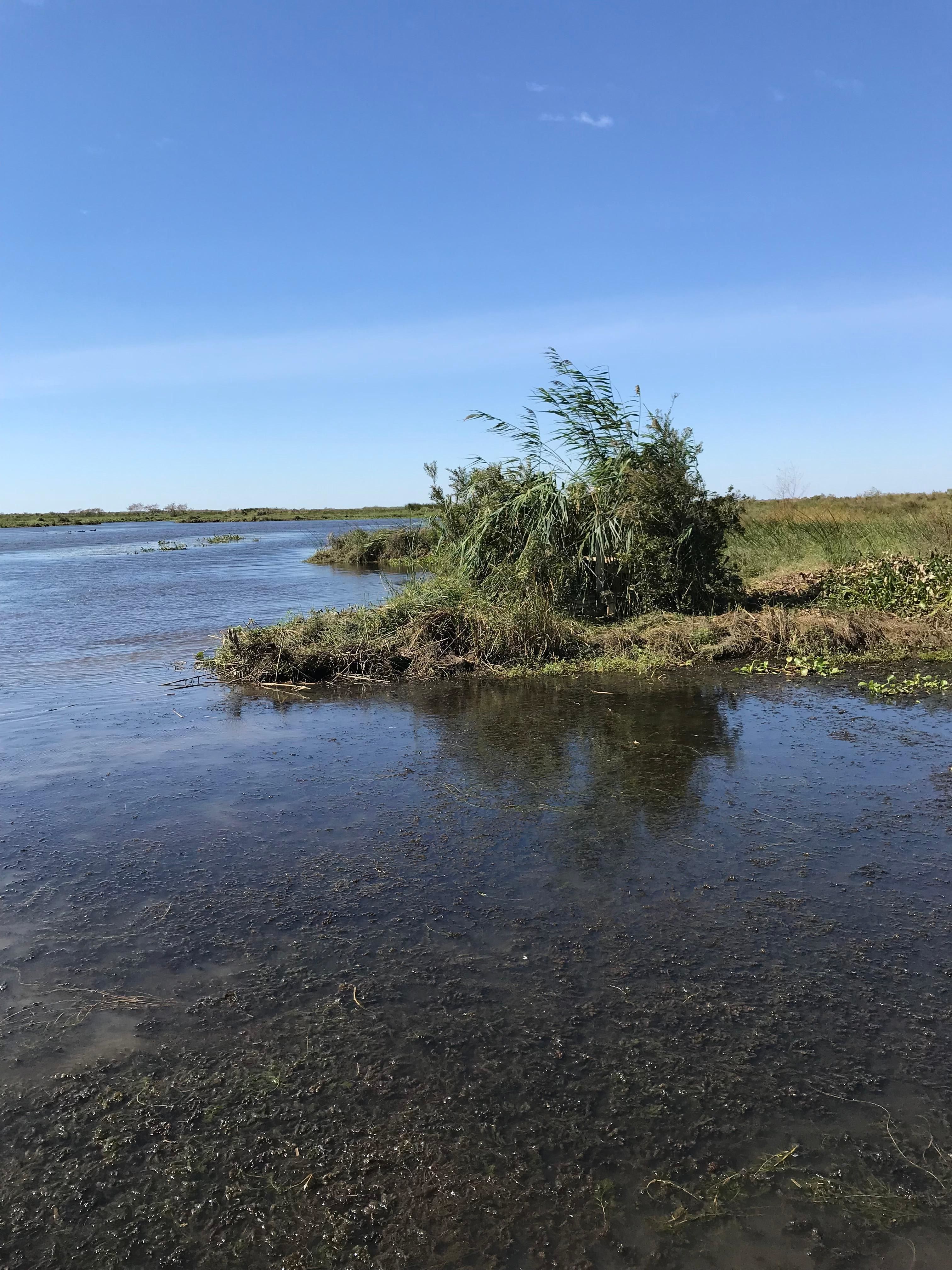 160 Acres, Delacroix, LA 70085 Land and Farm