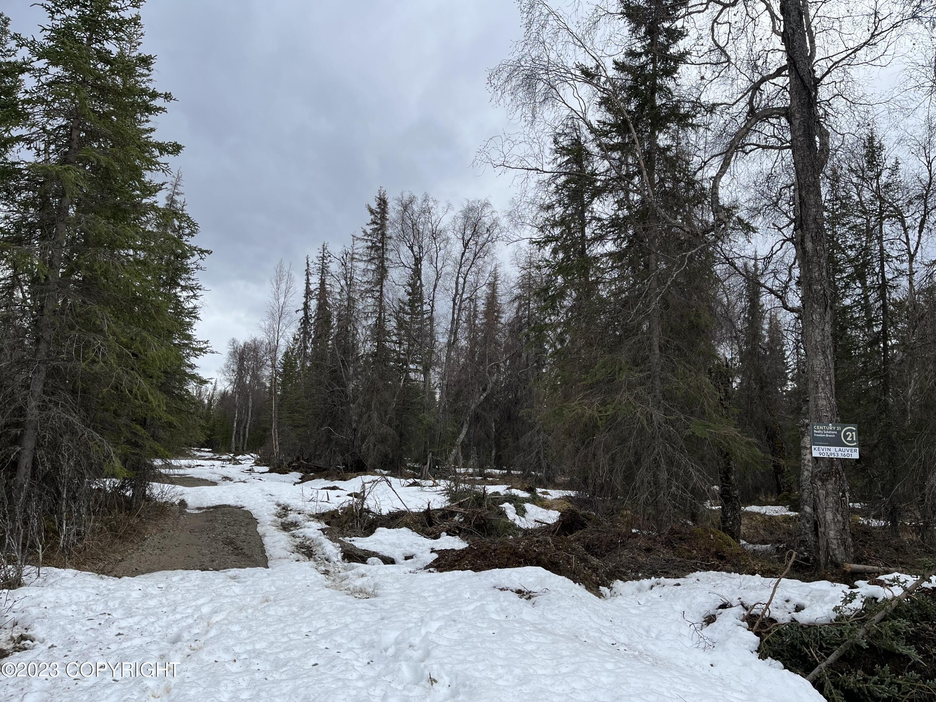 38 Acres, Tr 4 Avenue, Kenai, AK 99635 Land and Farm