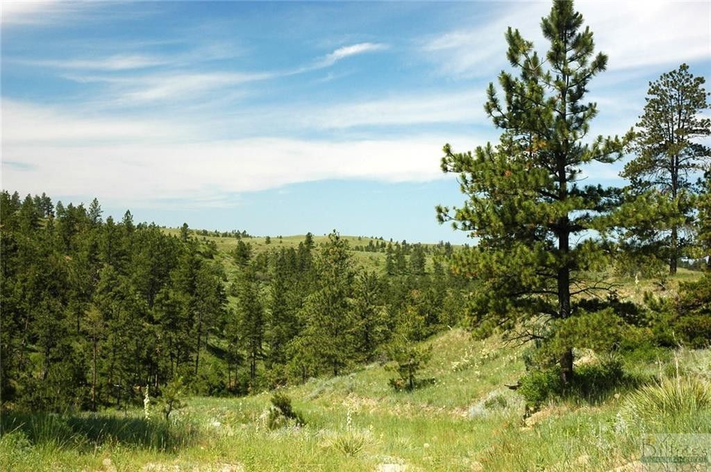 Nhn Lone Rock, Hysham, MT 59076 MLS 339562 Land and Farm