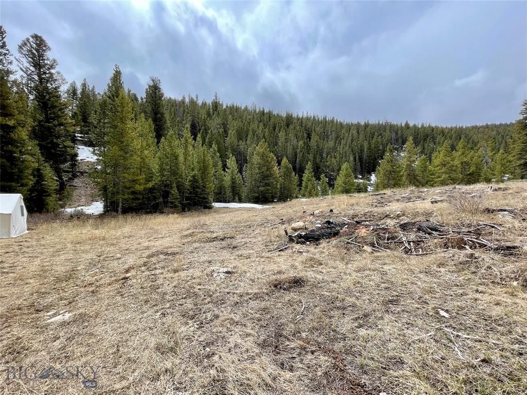 7.5 Acres, Tbd Quartz Hill Rd Luna Lode, Wise River, MT 59762 Land