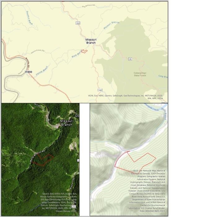 15 Acres, Wells Branch, Dunlow, WV 25514 Land and Farm