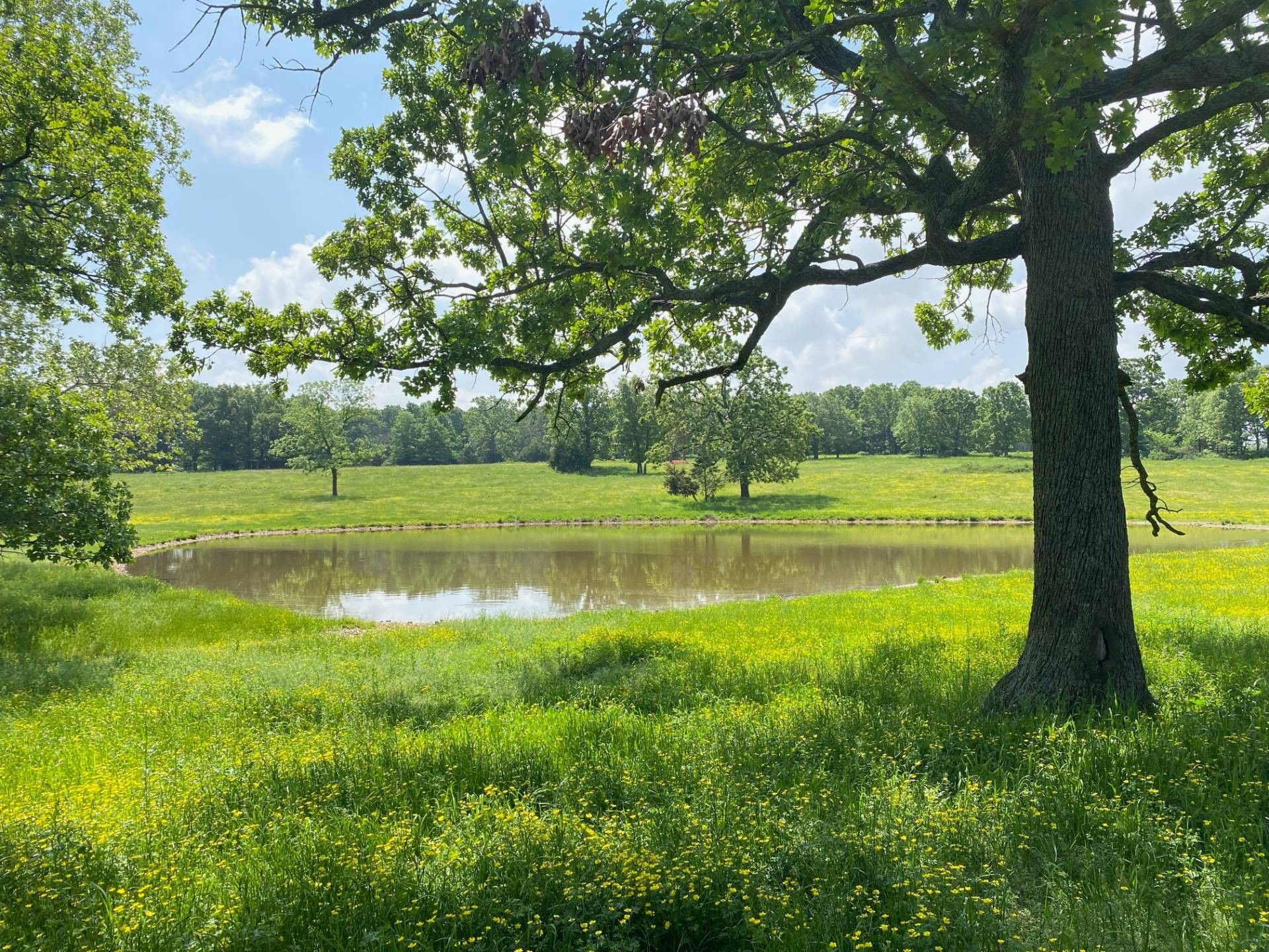 20 Acres, 15011 Falcon Rd, Neosho, MO 64850 Land and Farm