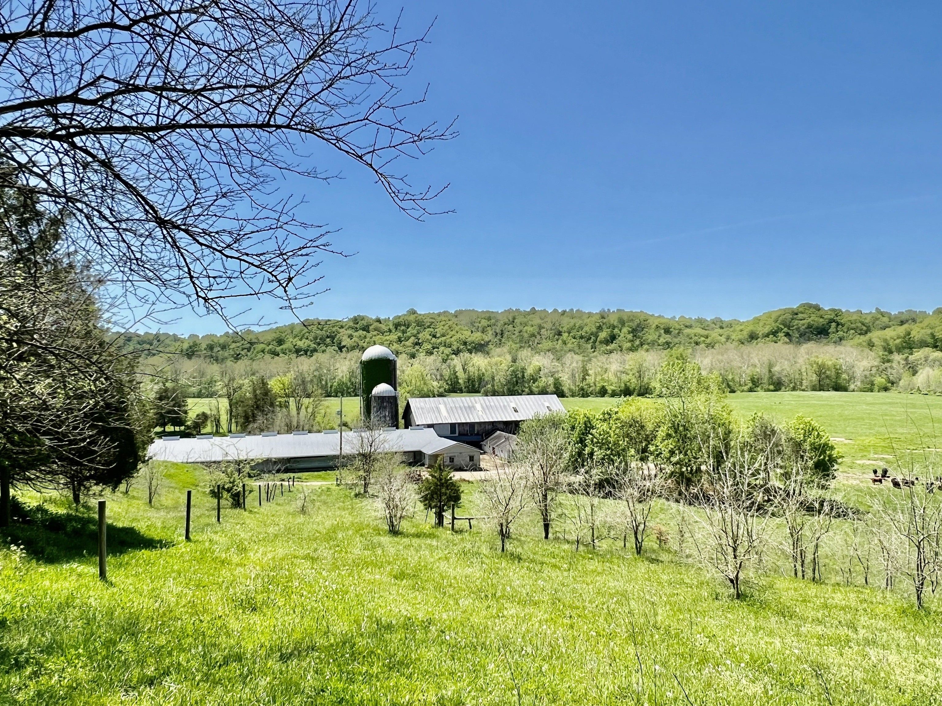 135 Acres, 2488 East Co Rd 350 South, Versailles, IN 47042 Land and Farm