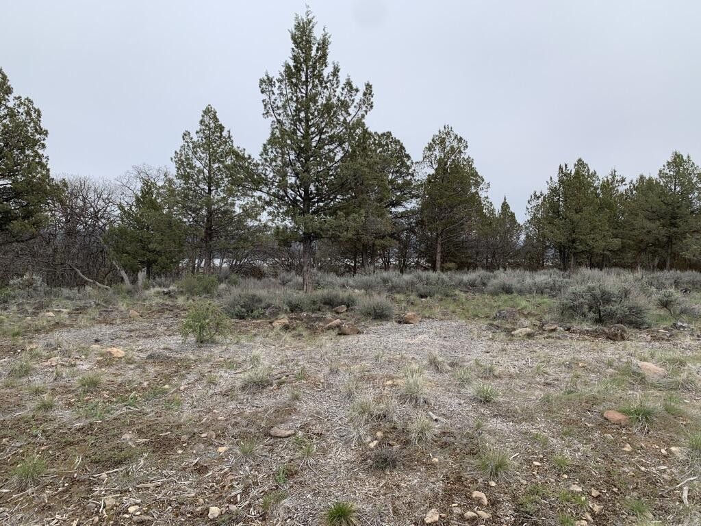 1.18 Acres, Lot 1173 Pipit Ct, Klamath Falls, OR 97601 Land and Farm