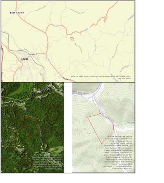 15 Acres, Spruce Creek Road, Fort Gay, WV 25514 Land and Farm