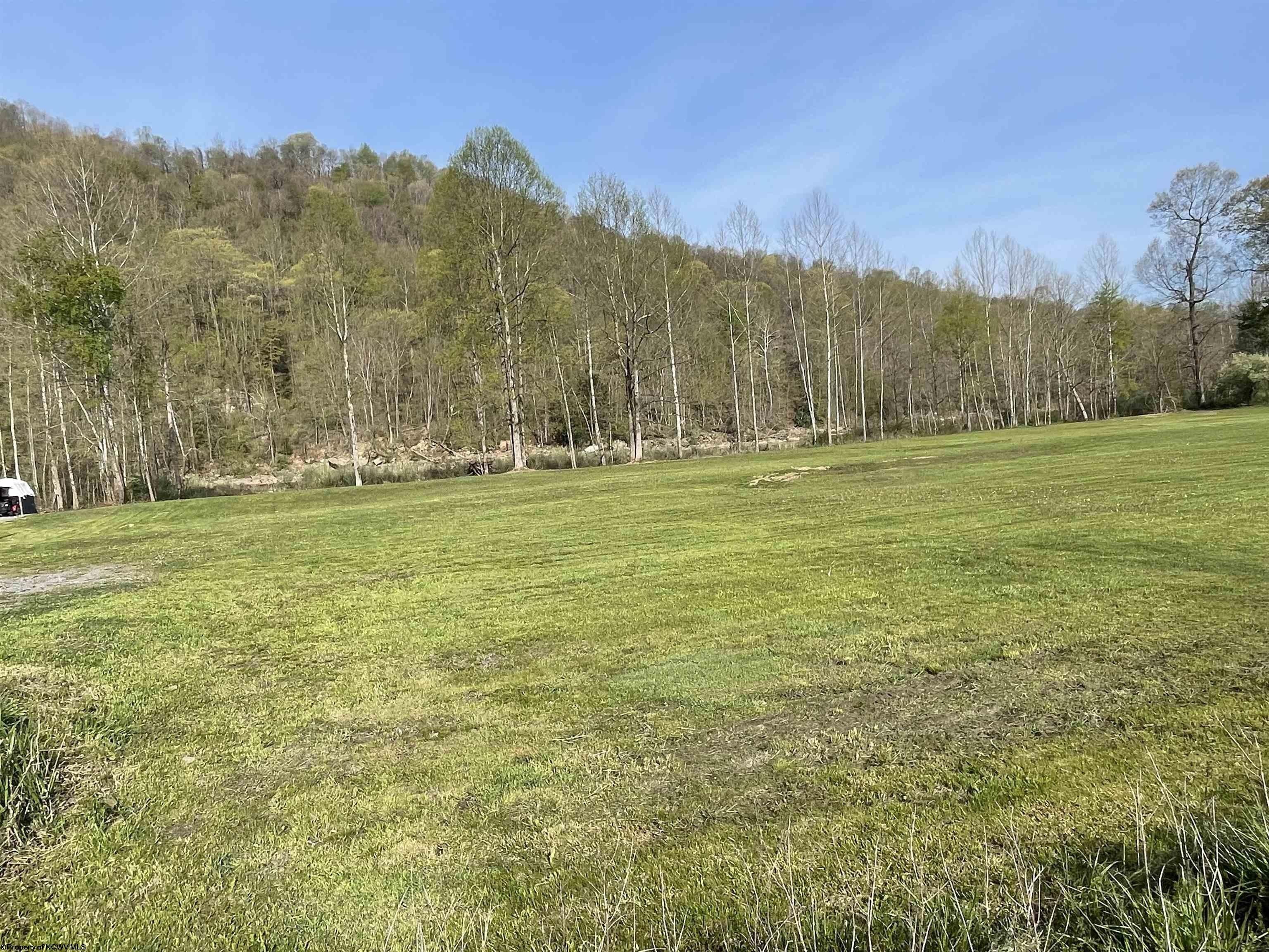 0.3 Acres, Lot 3 St. Joe Road, Albright, WV 26519 Land and Farm