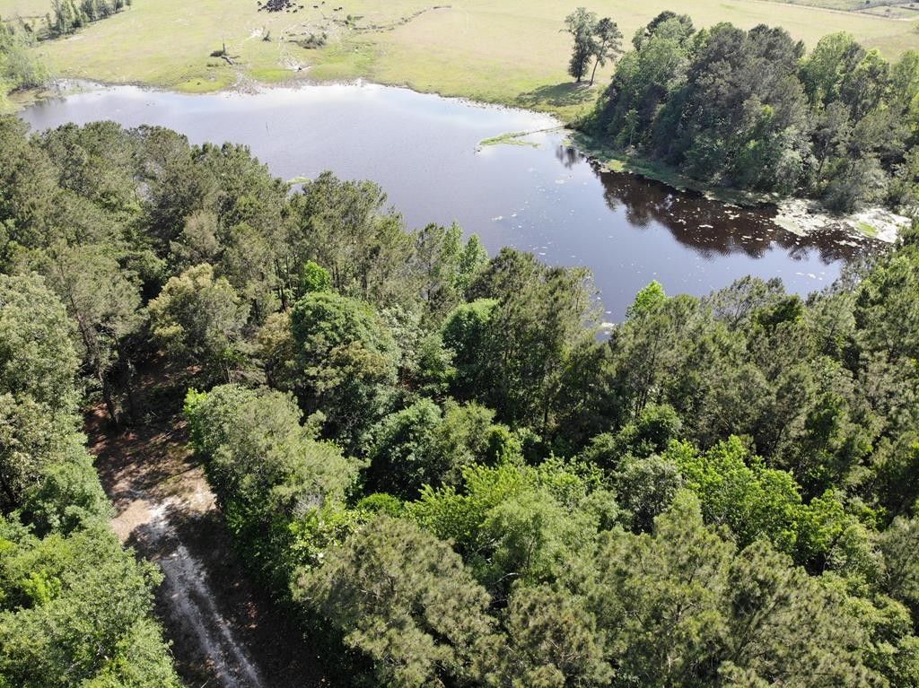 8.61 Acres, tbd D & G LN, Whigham, GA 39892 Land and Farm