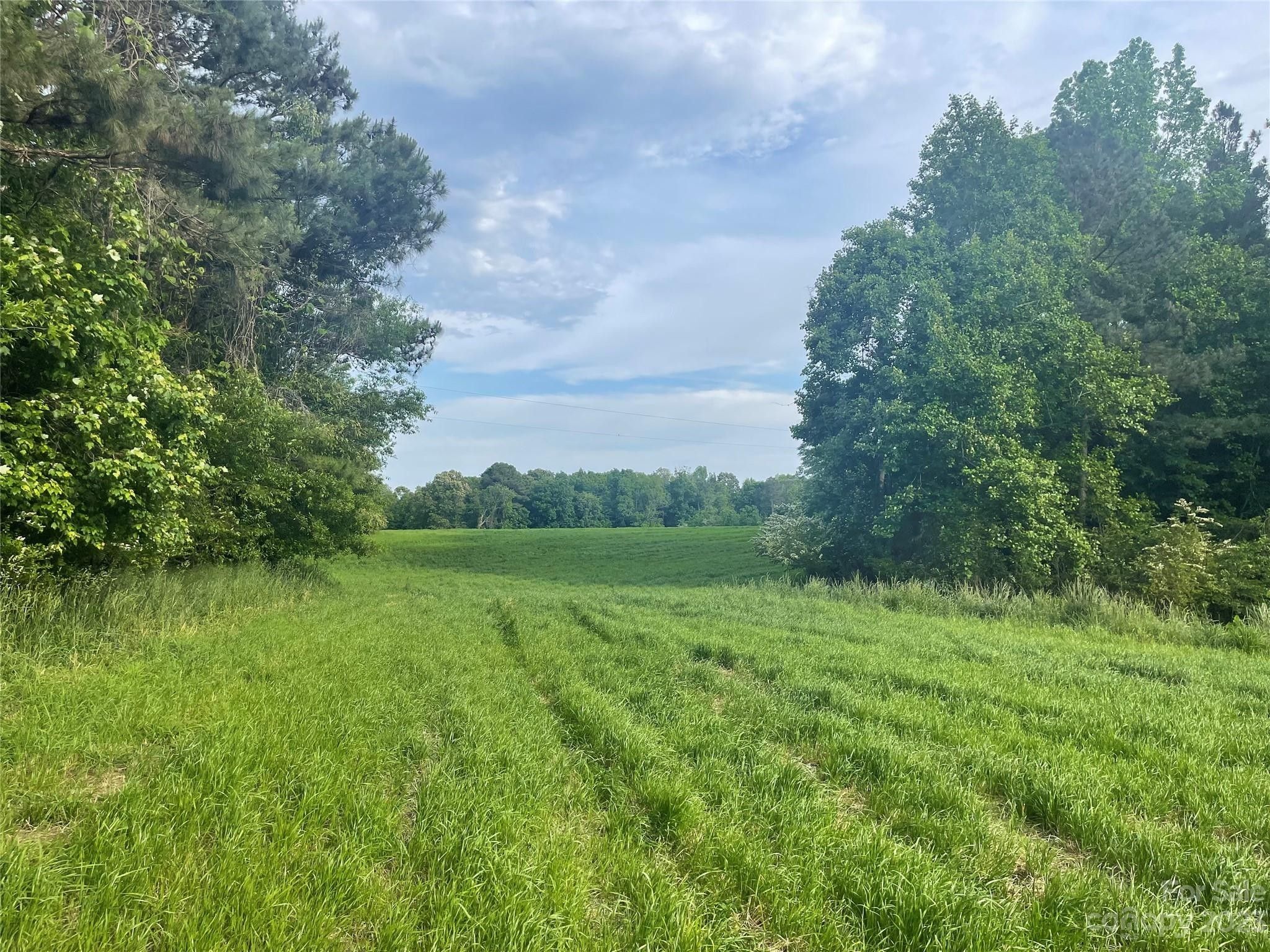 23.31 Acres, 0 Beaman Road, Troy, NC 27371 Land and Farm