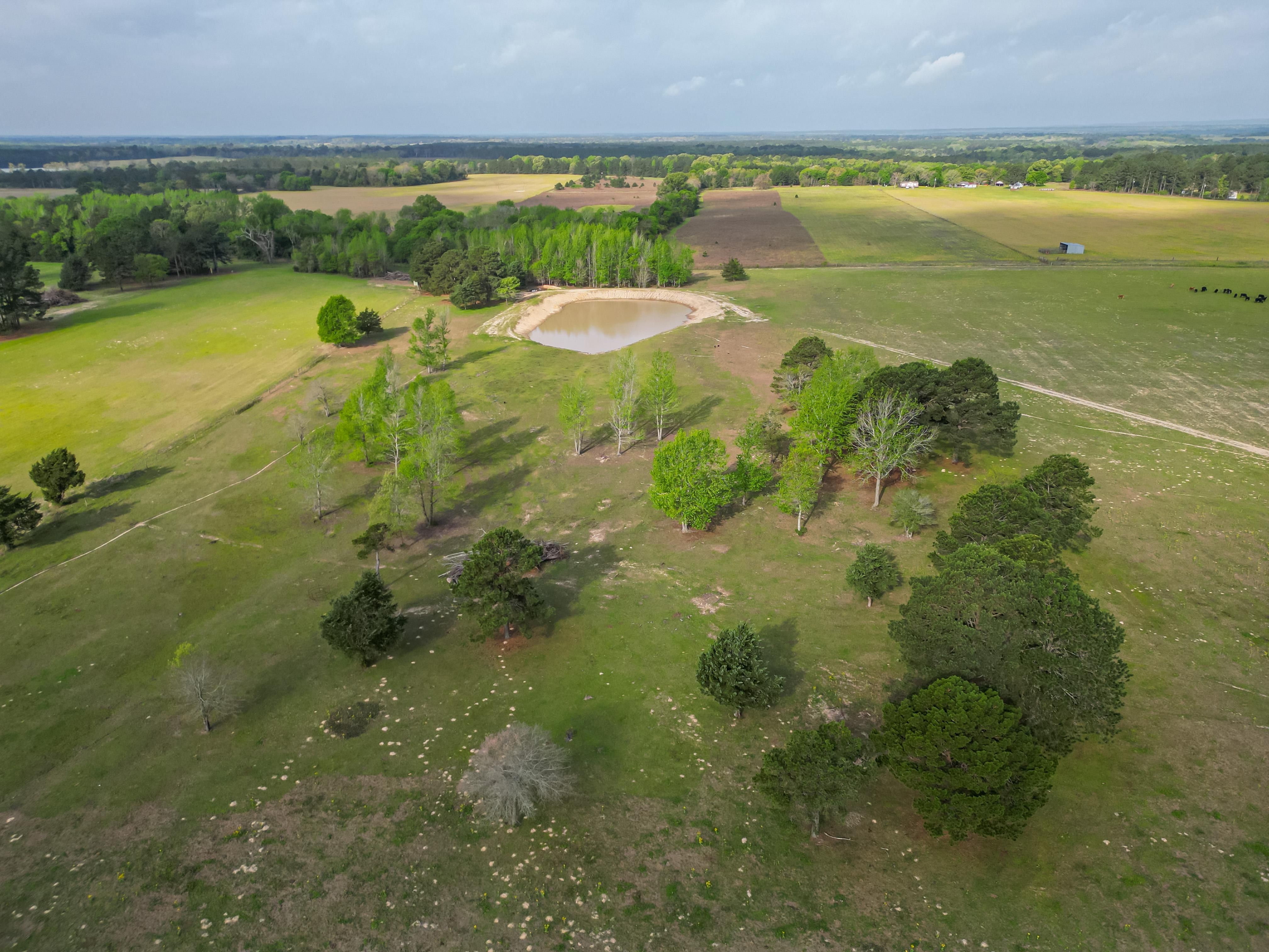 94 Acres, 900 ACR 1211, Grapeland, TX 75844 Land and Farm