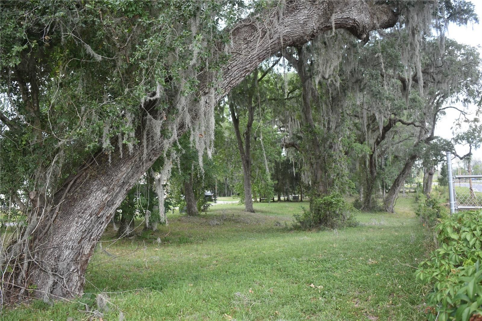 0.12 Acres, Lot 56 Blk C LEXINGTON DRIVE, Wildwood, FL 34785 Land and