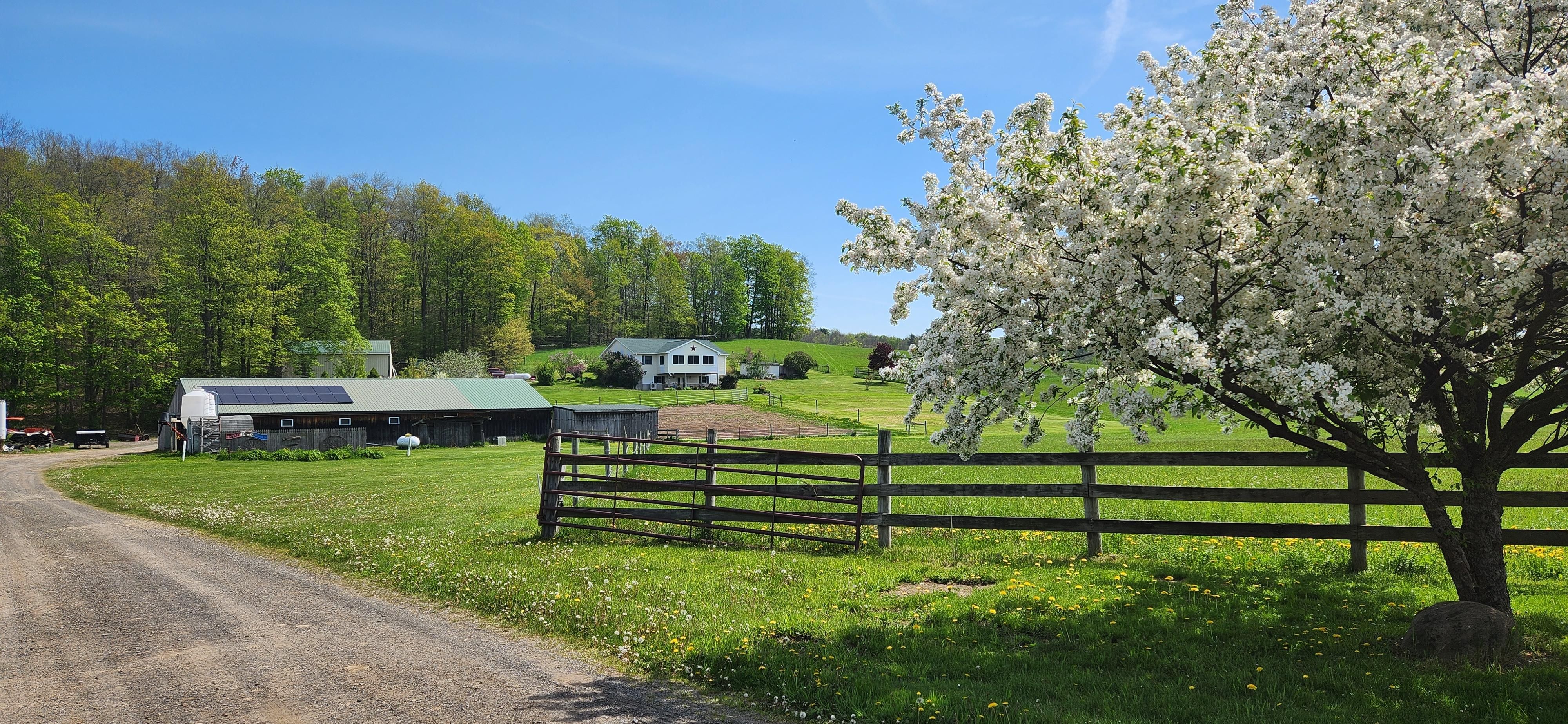 7880 NY79, Whitney Point, NY 13862 Land and Farm