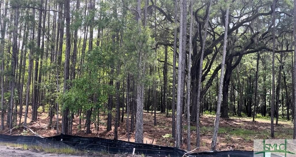 0.47 Acres, 161 Wood Haven Lane, Pooler, GA 31322 Land and Farm