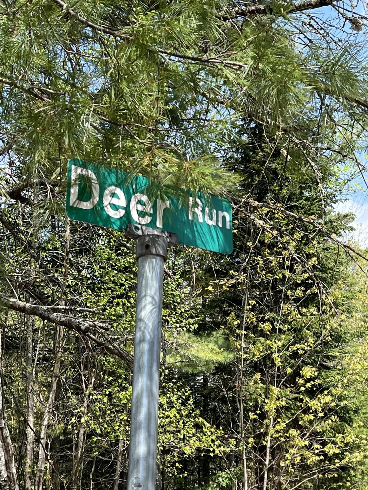 95 Acres, M9 L19 A1 Off Deer Run Lane, Stetson, ME 04488 Land and Farm