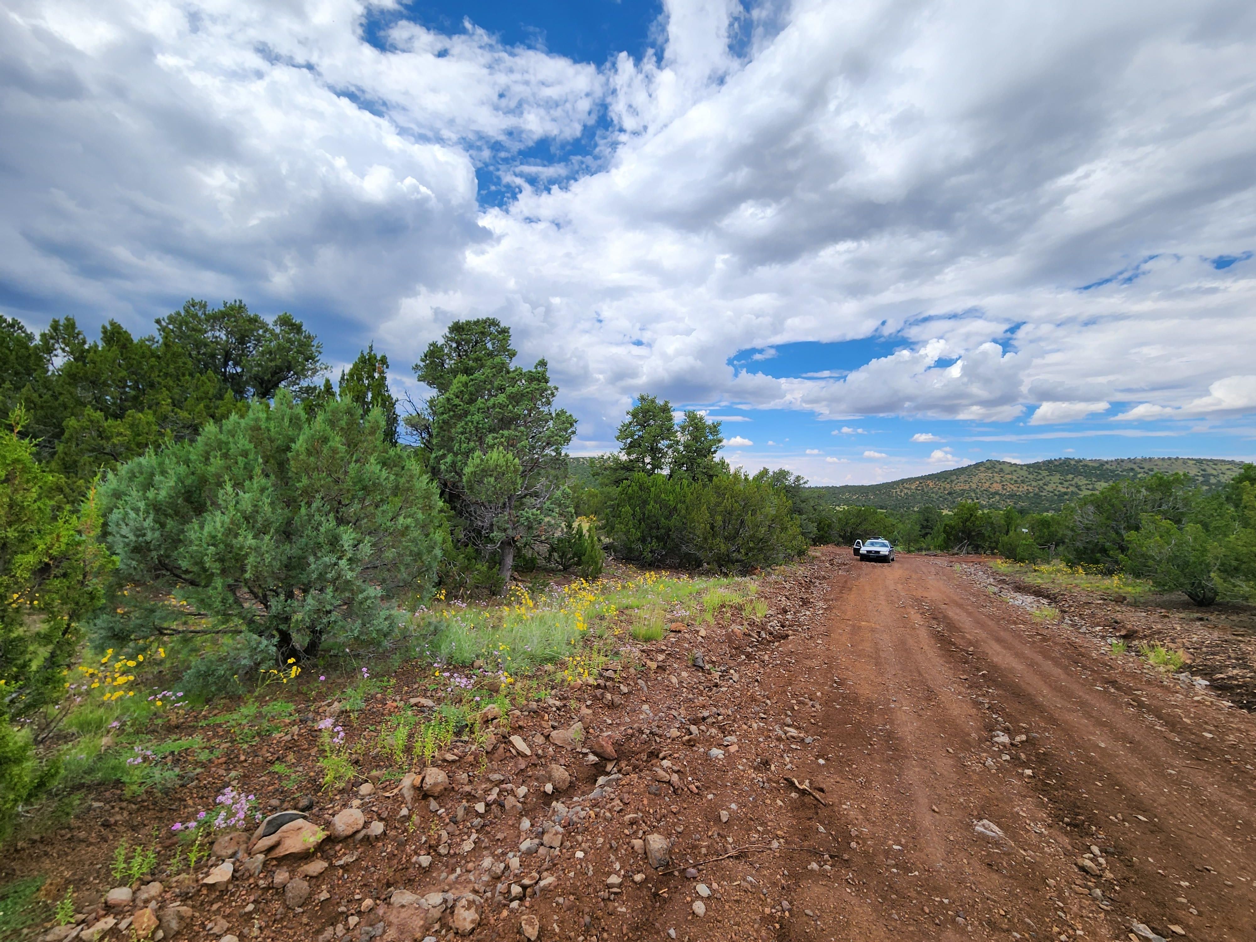 85 3198, Vernon, AZ 85940 MLS 243416 Land and Farm