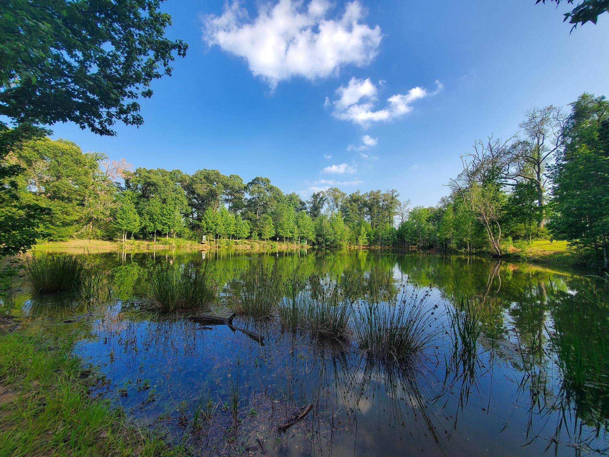 80 Acres, Oakwood, TX 75855 Land and Farm