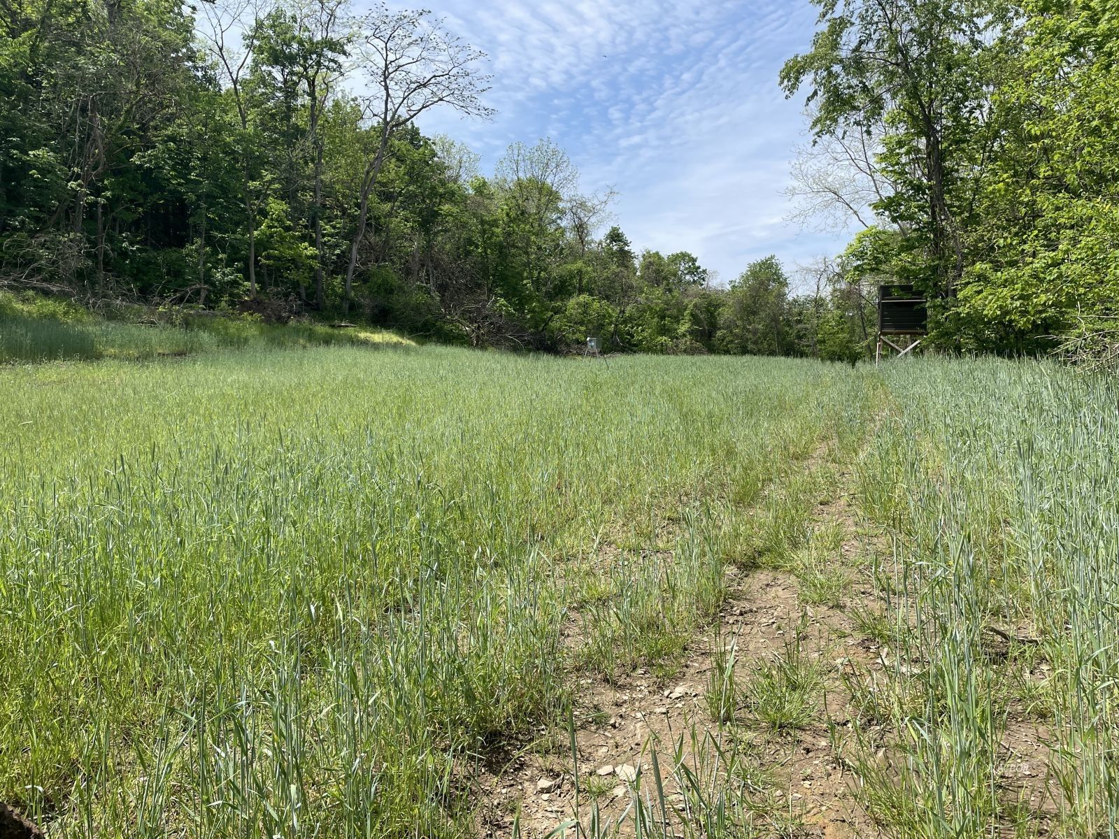 45.67 Acres, 34179 New Lima Road, Rutland, OH 45775 Land and Farm