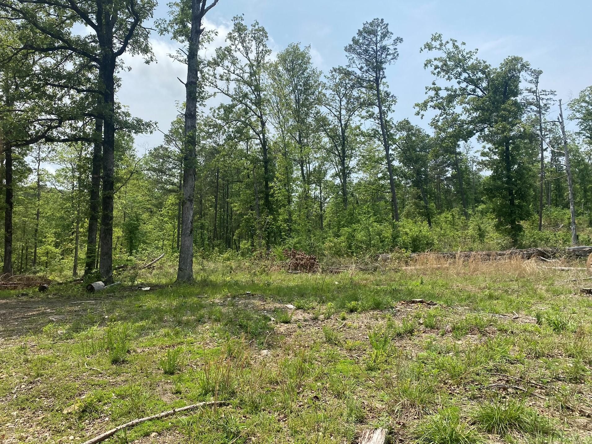 115 Acres, Jones Cemetery Road, Calico Rock, AR 72560 Land and Farm