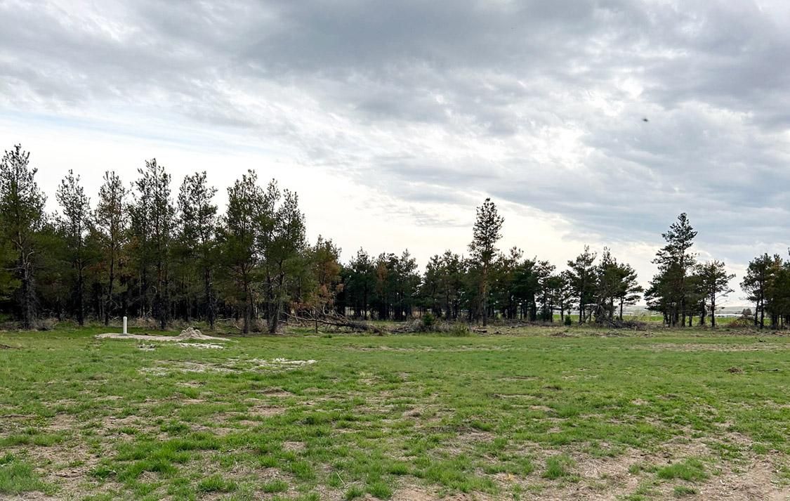 Road 74, Torrington, WY 82240 Land and Farm