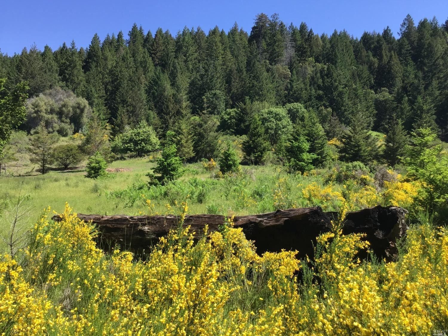 110 Acres, 23330 Soda Springs Road, Annapolis, CA 95412 Land and Farm