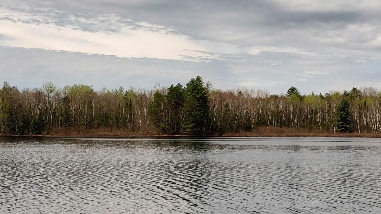 4.8 Acres, 4.8 Acre FORRESTER RD, Tomahawk, WI 54487 Land and Farm