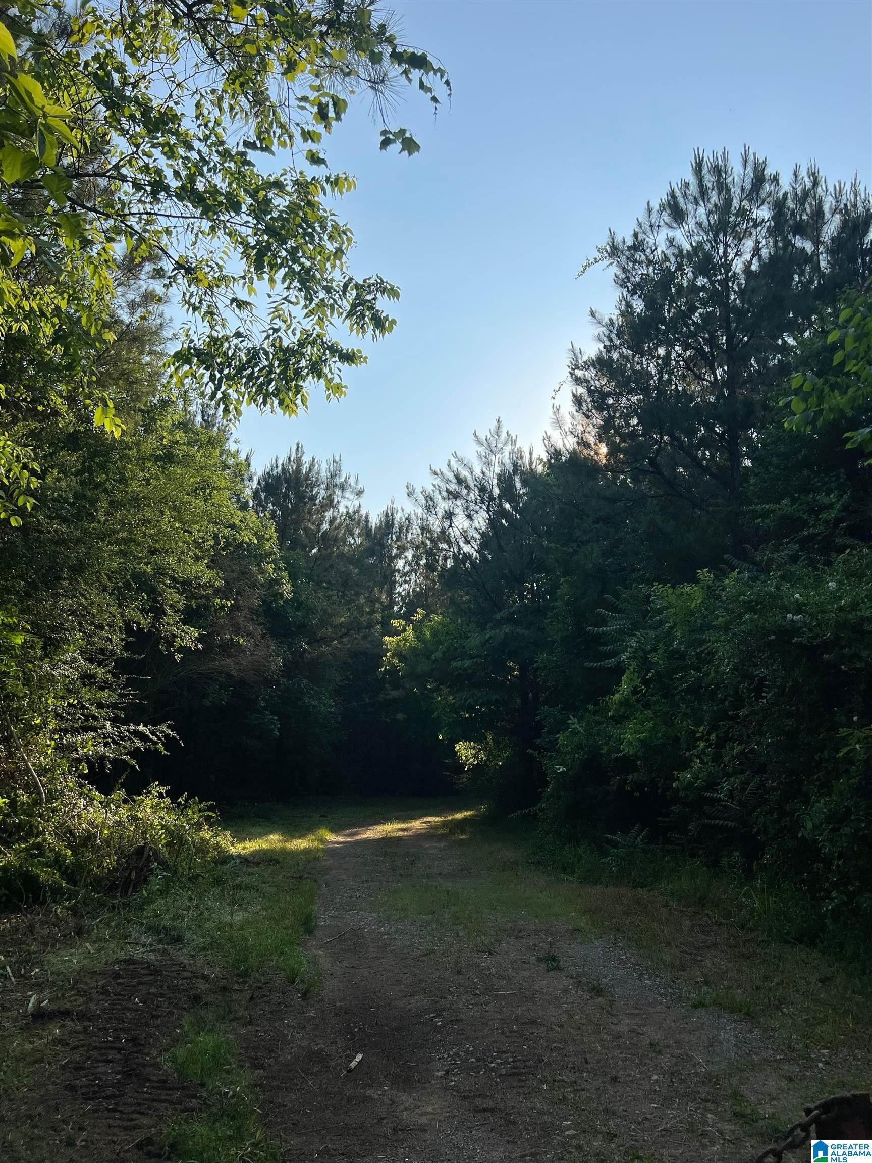 18 Acres, 0 HIGHWAY 139, Randolph, AL 36792 Land and Farm