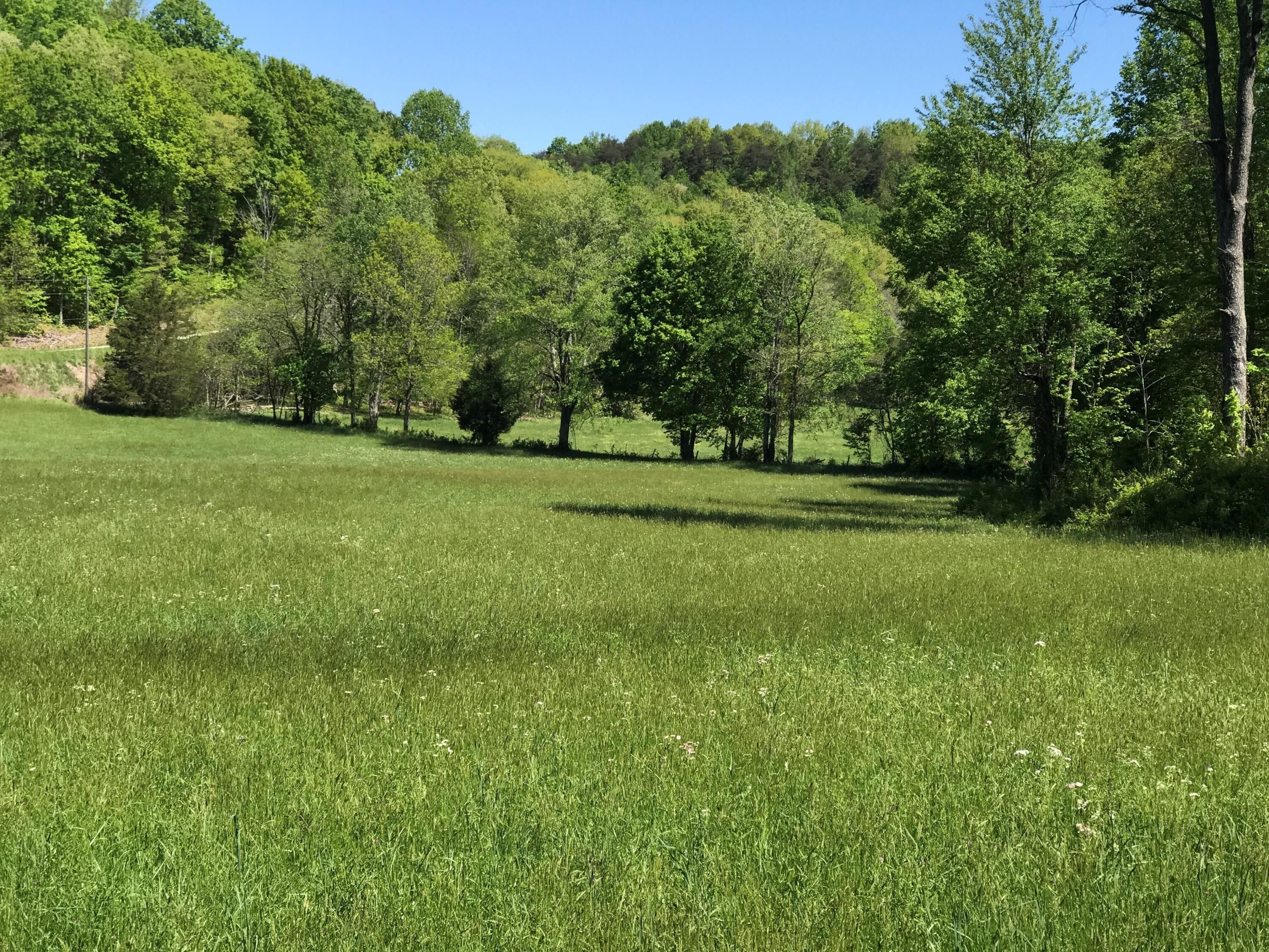 0 Chesnut Grove Road, Monticello, KY 42633 MLS 23008839 Land and Farm