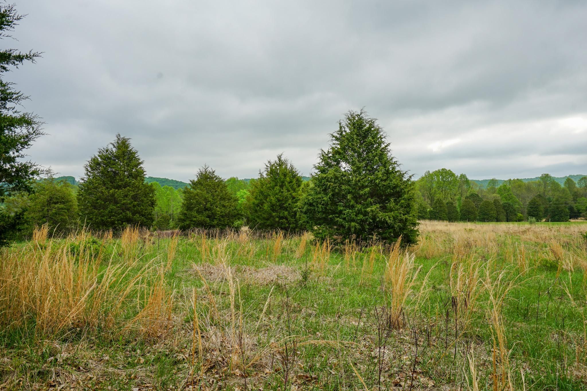 5 Acres, Rooster Hollow Road, Blue Creek, OH 45616 Land and Farm