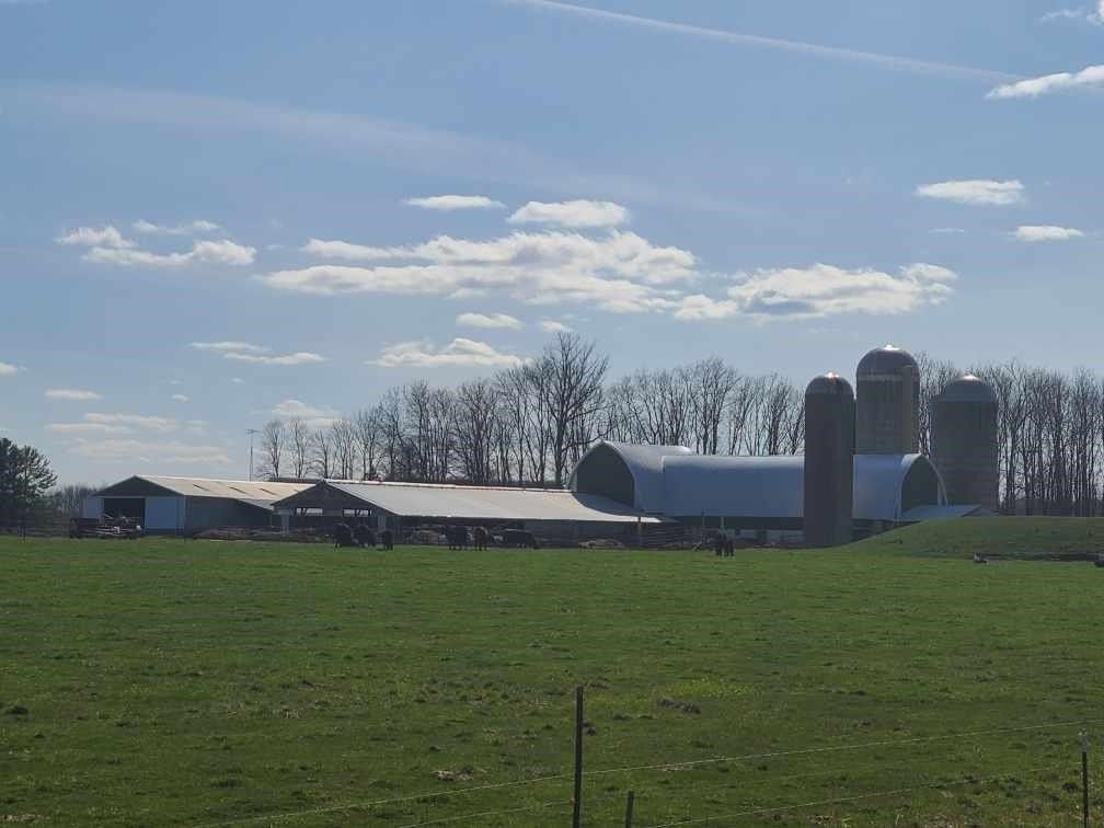 37 Acres, 8066 County Road F, Arpin, WI 54410 Land and Farm