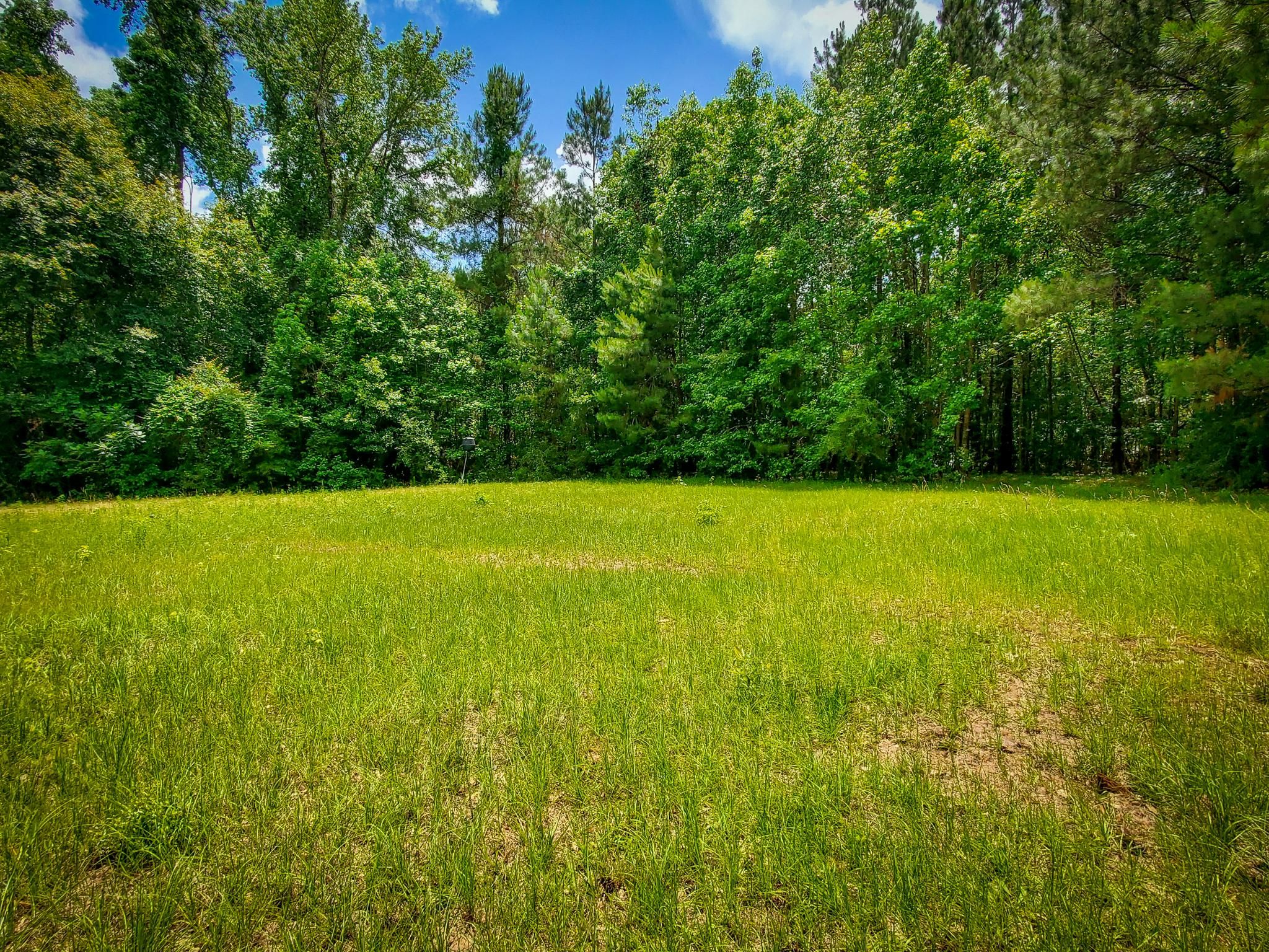 330 acres in Daisetta, TX, 77533 MLS 330+/ acres of beautiful