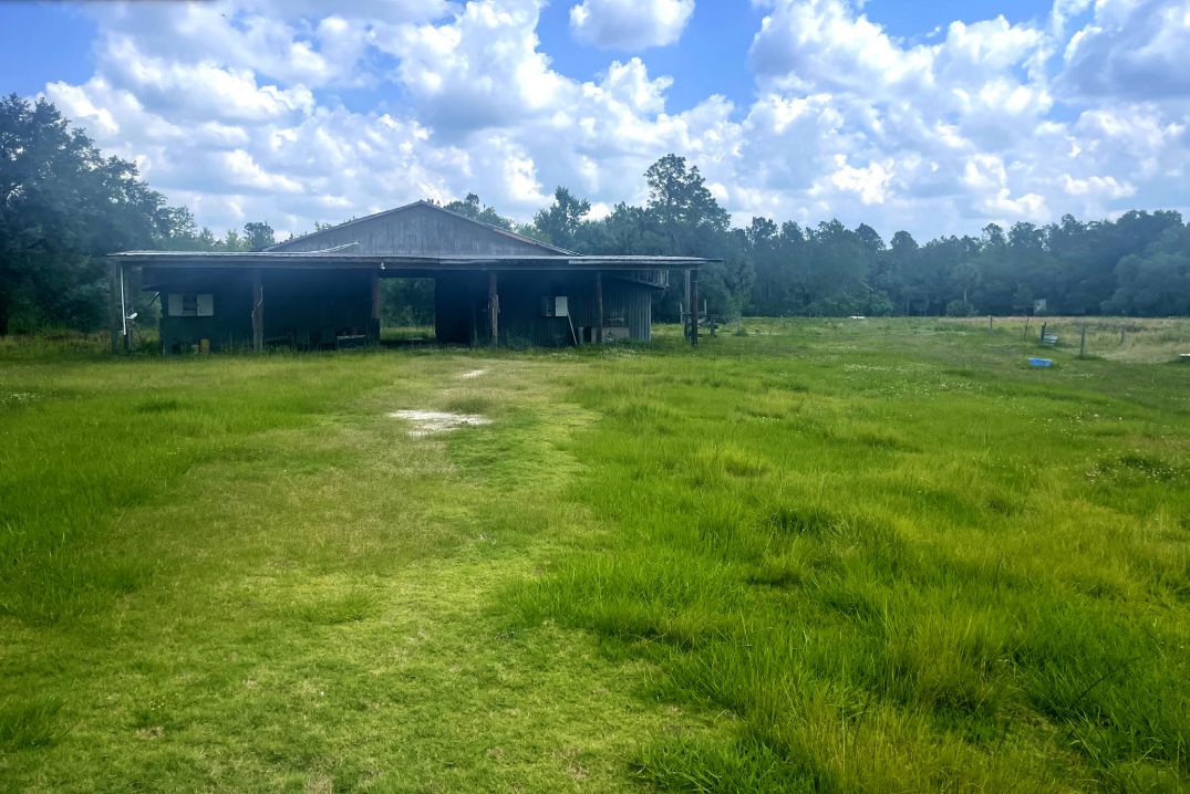 20 Acres, 8151 Florida 11, Bunnell, FL 32110 Land and Farm