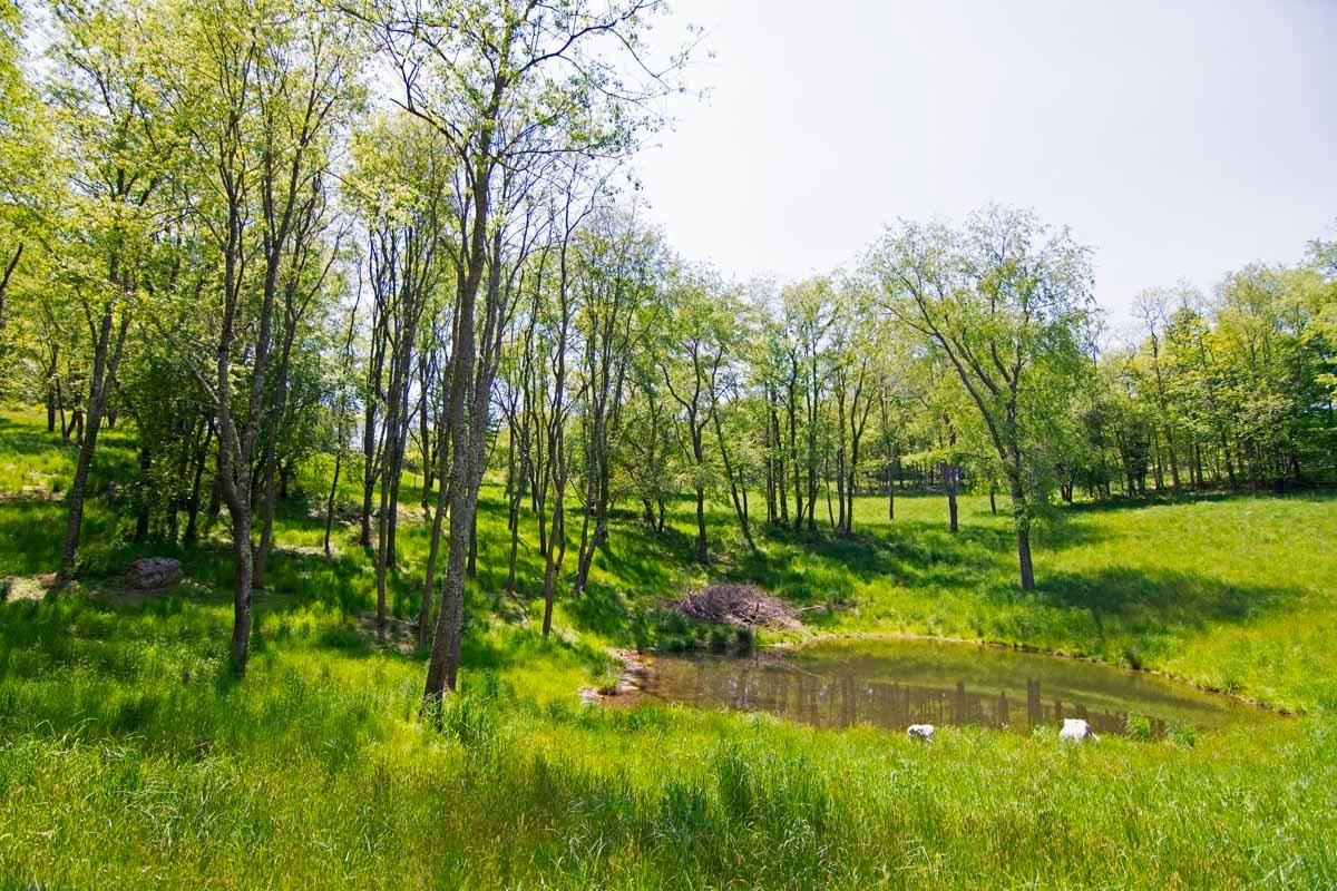 10.92 Acres, 16736 Seneca Trail North, Lewisburg, WV 24901 Land and Farm