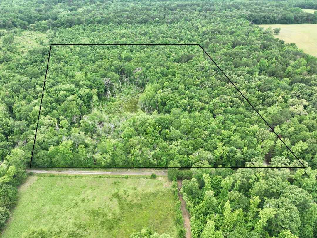 15 Acres, Woodchuck Road, Gilmer, TX 75644 Land and Farm
