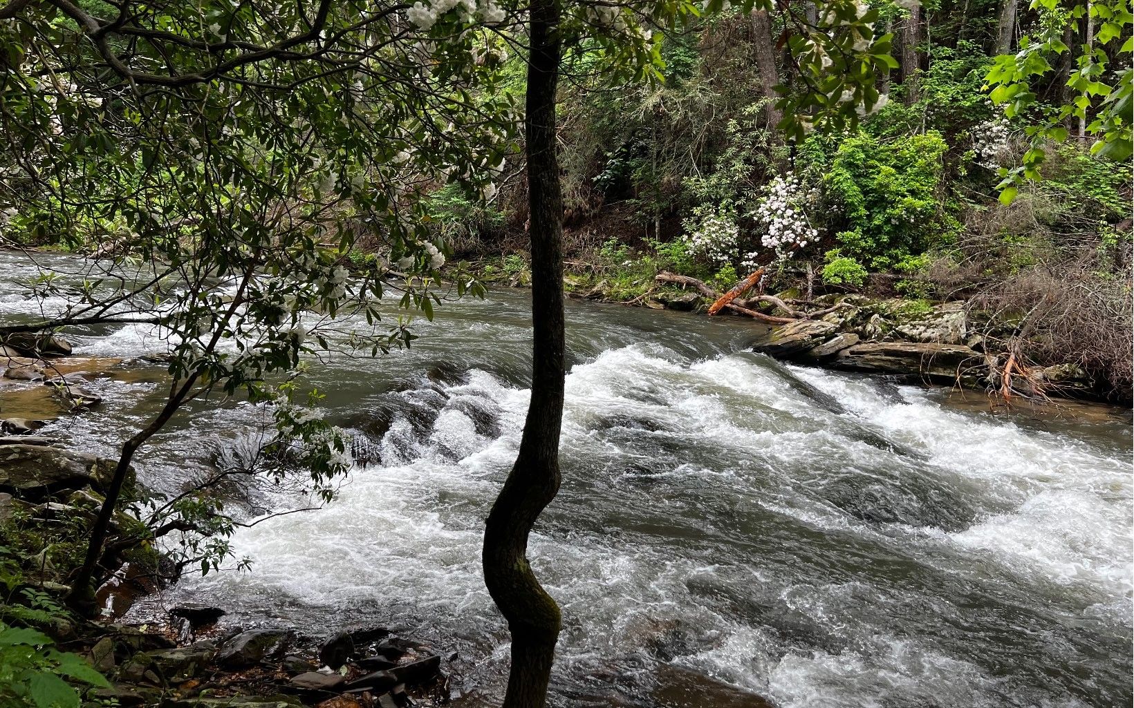 3.26 Acres, L 112 HIGH RIVER CROSSING, Ellijay, GA 30540 Land and Farm