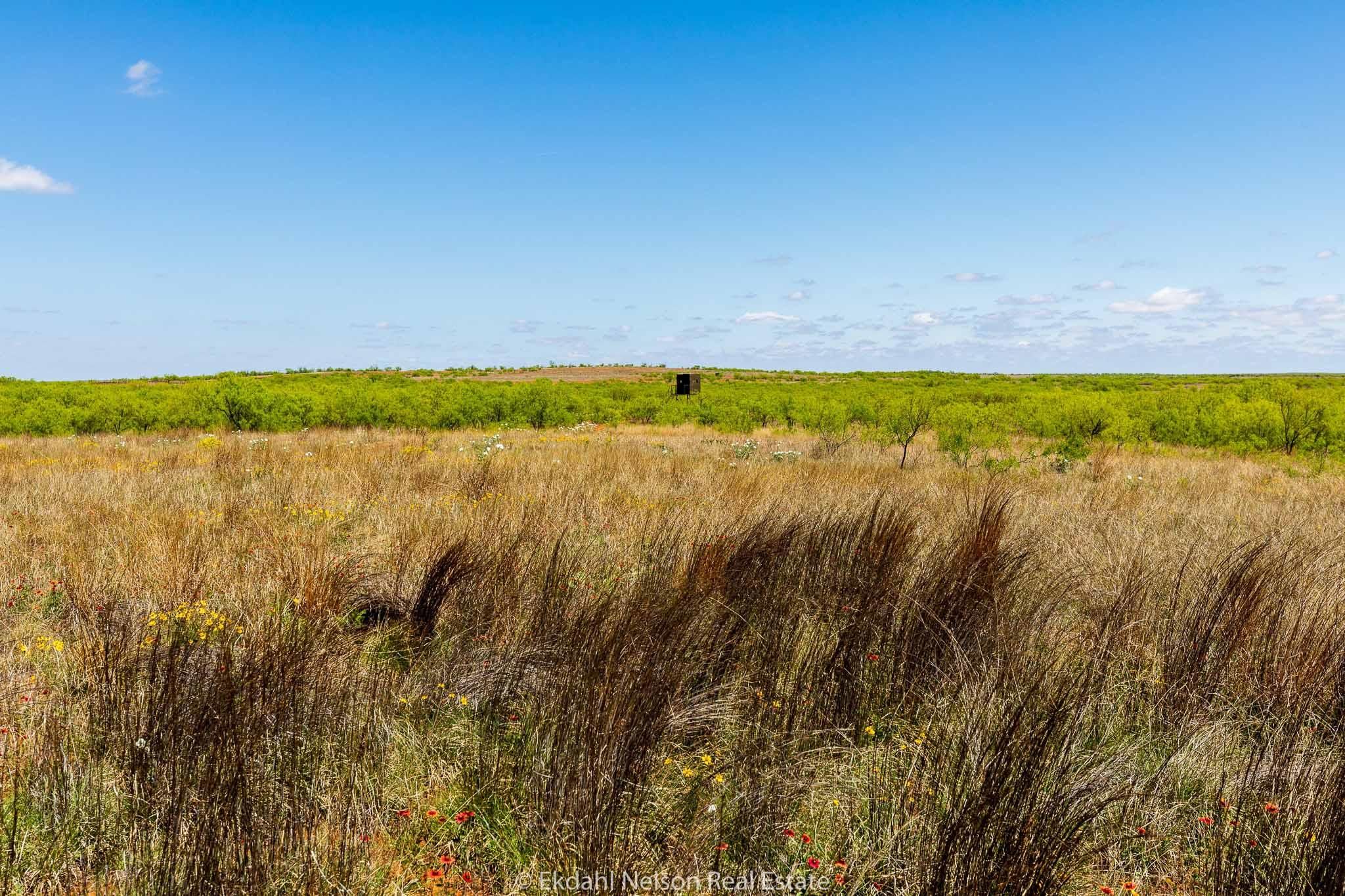335.61 Acres, Jayton, TX 79528 Land and Farm