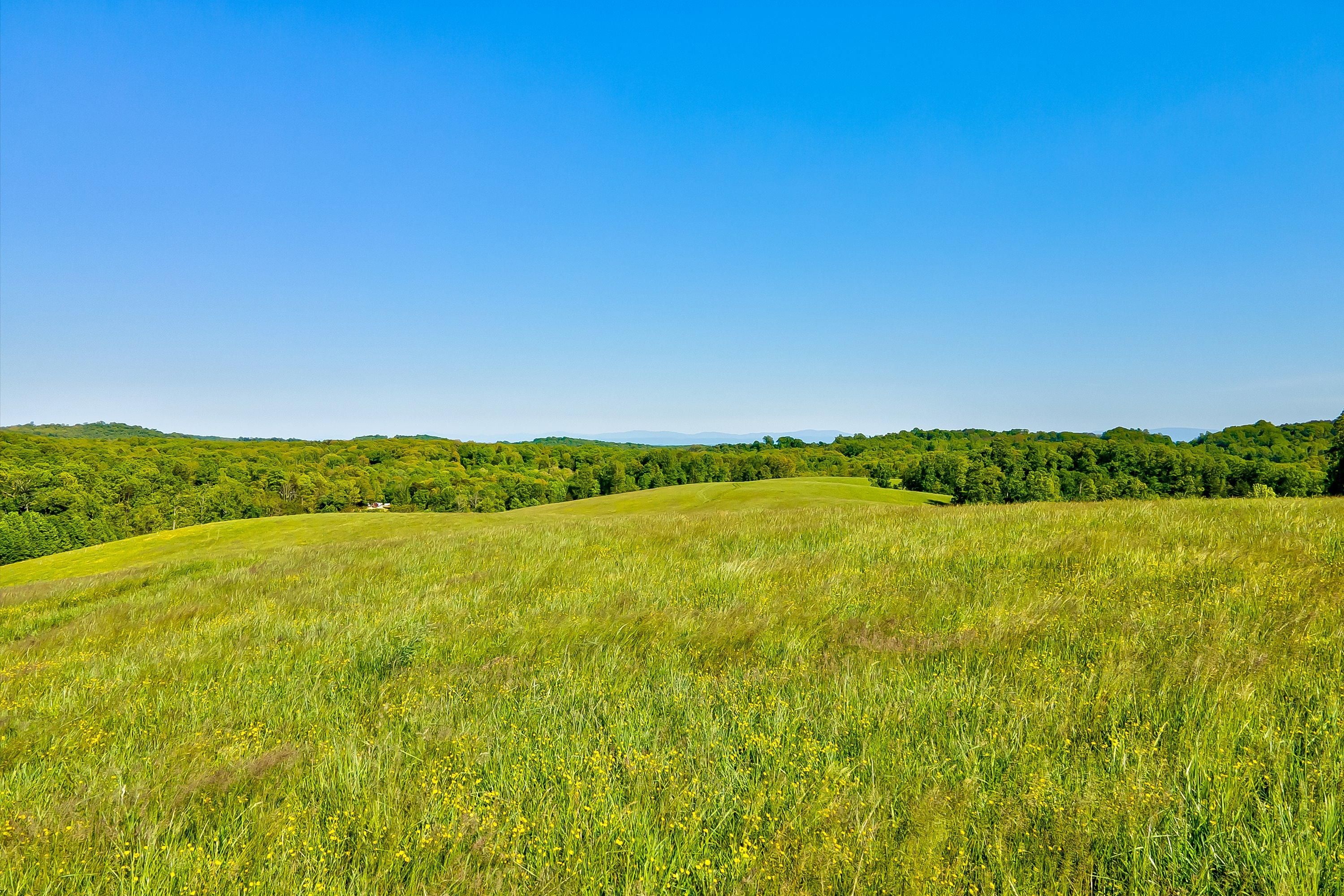 323 Holderford Road, Kingston, TN 37763 MLS 1225118 Land and Farm