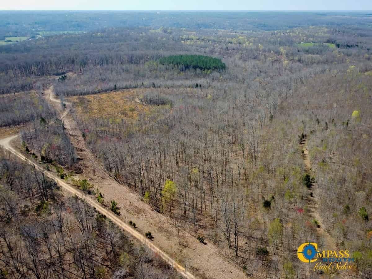 127 Acres, Erin, TN 37061 Land and Farm