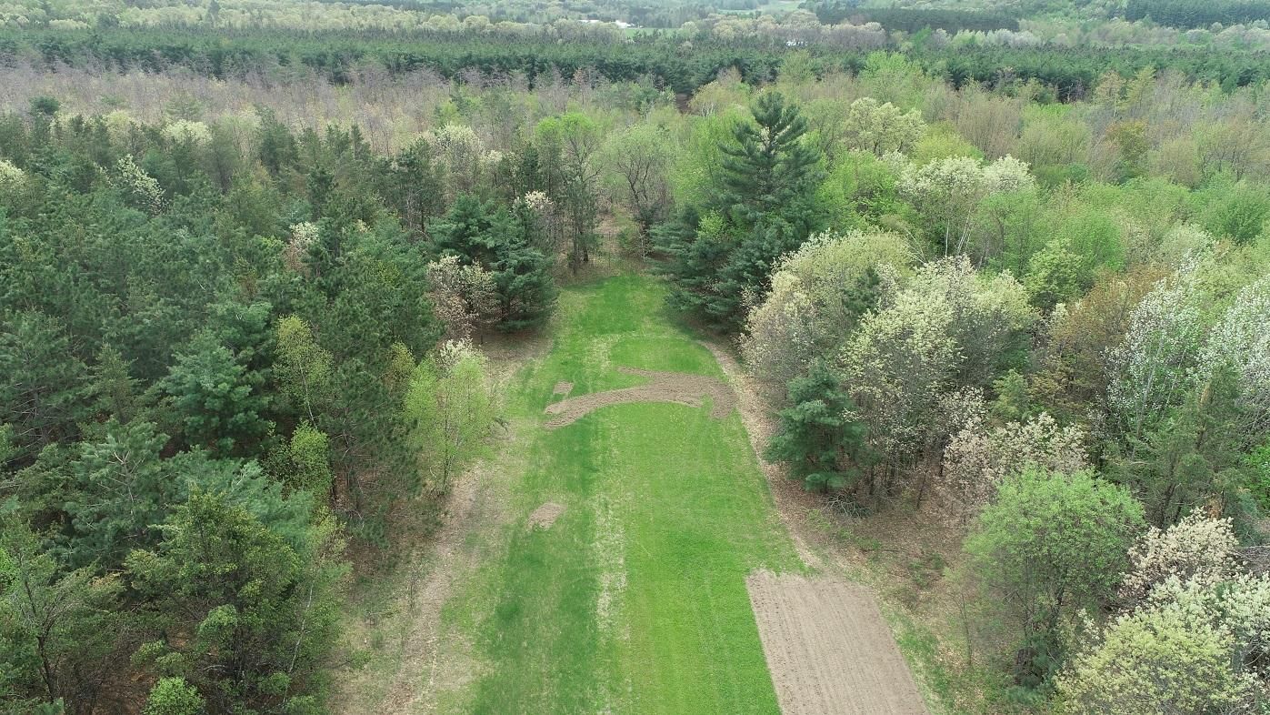 60 Acres, W13836 Hill Road, Fairchild, WI 54741 Land and Farm