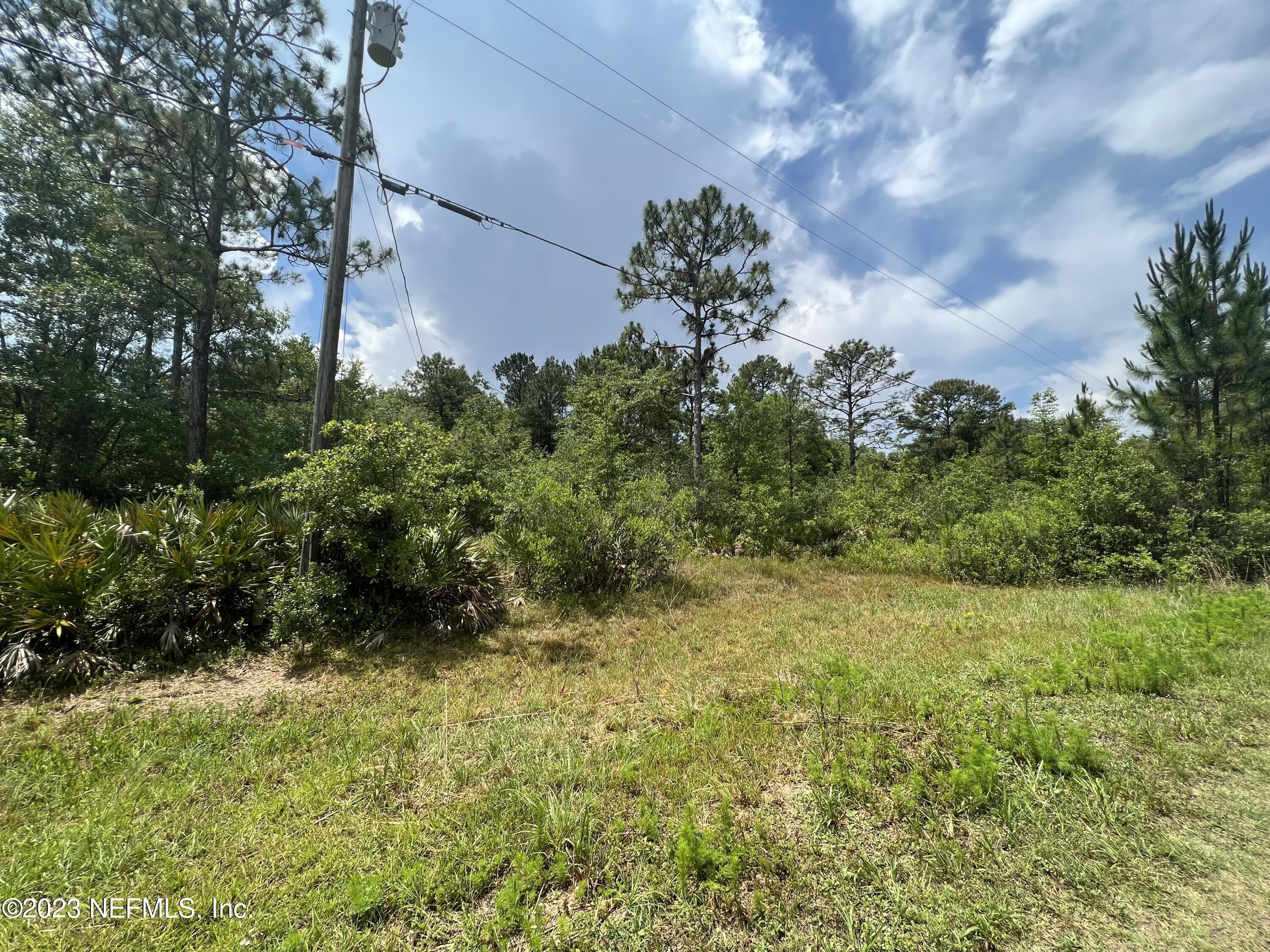 1.69 Acres, 0 CANDLEWOOD Court, Middleburg, FL 32068 Land and Farm
