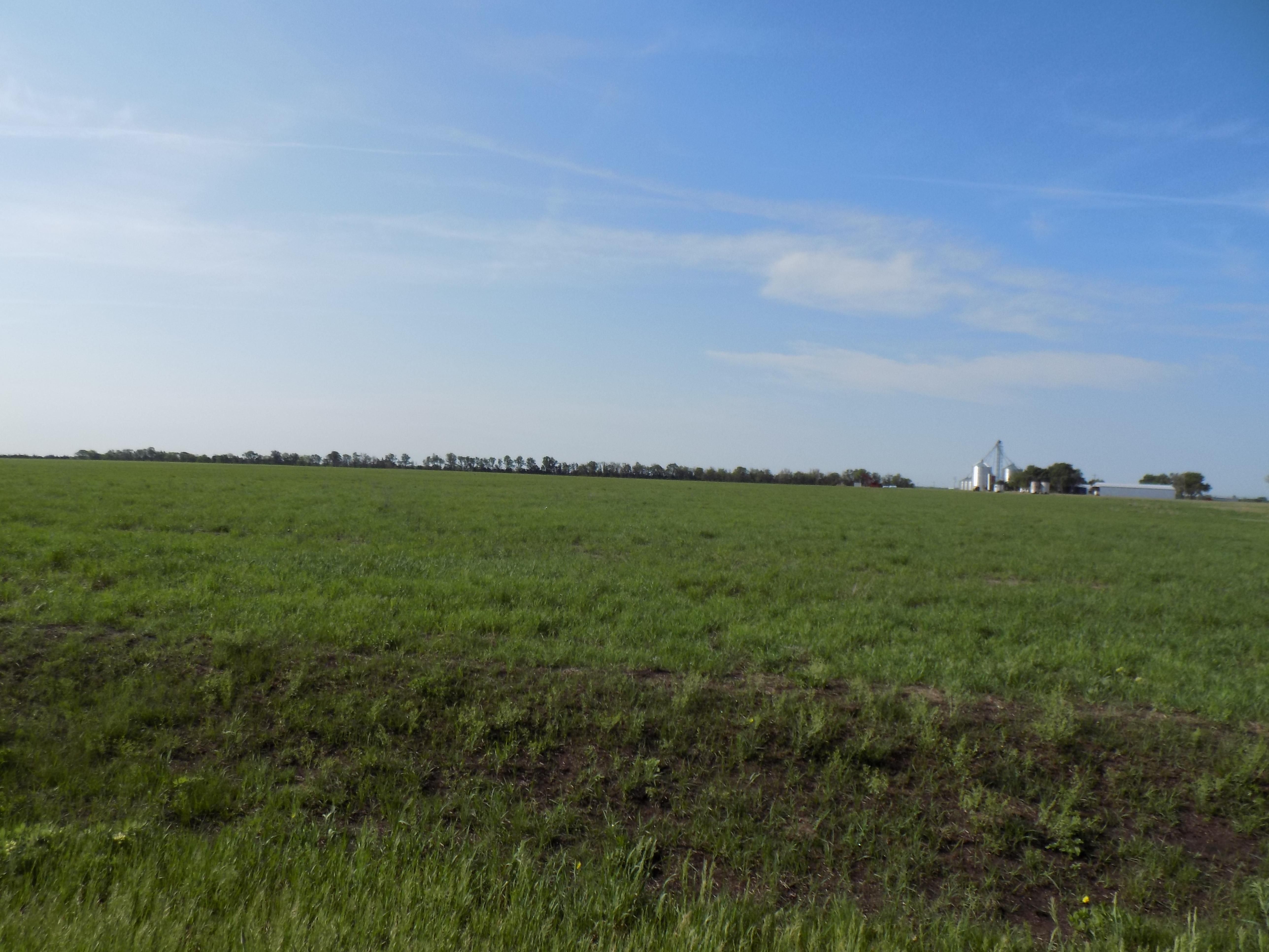 156 Acres, W. Arlington Rd, Arlington, KS 67514 Land and Farm