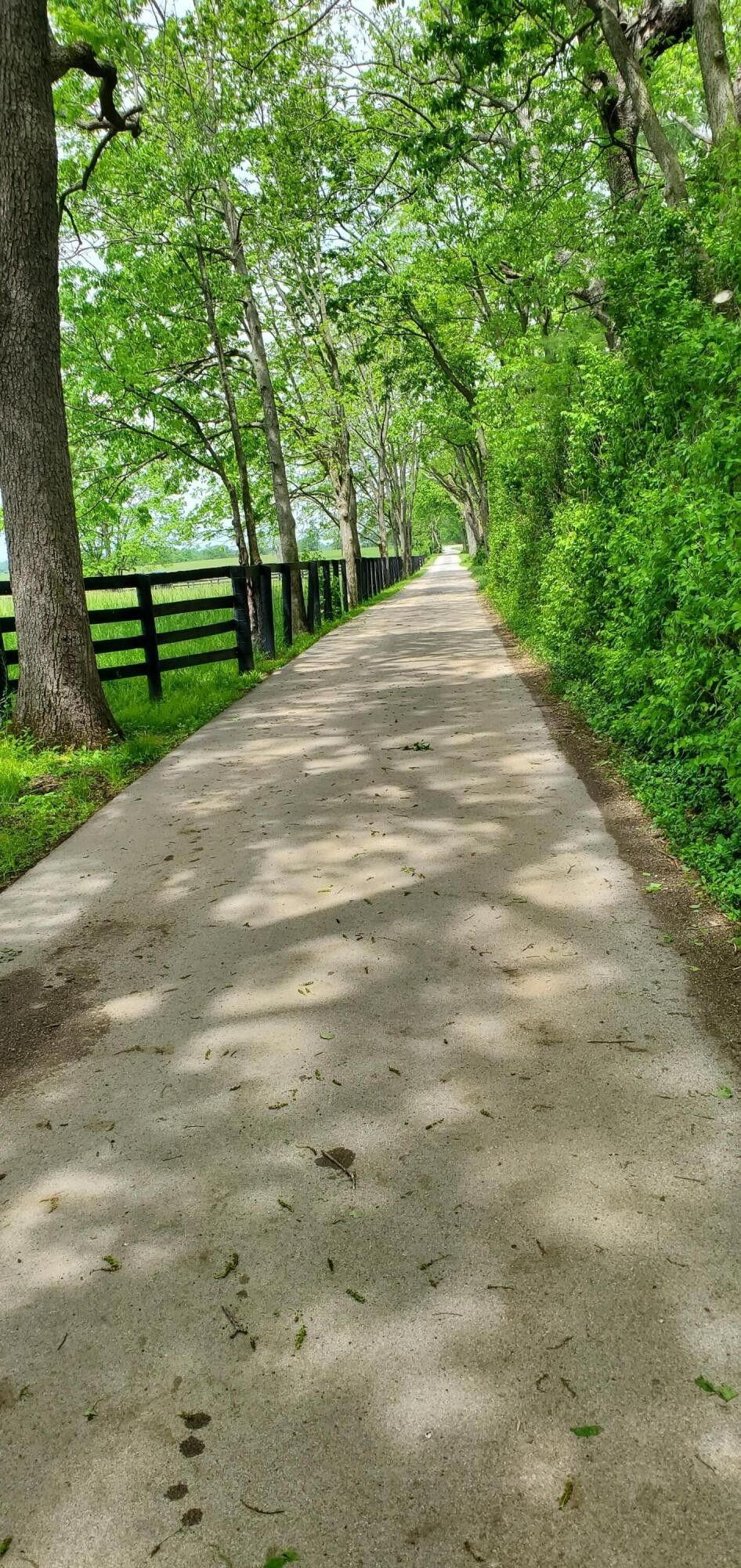 5 Acres, 5486 Dedman Lane, Lexington, KY 40513 Land and Farm