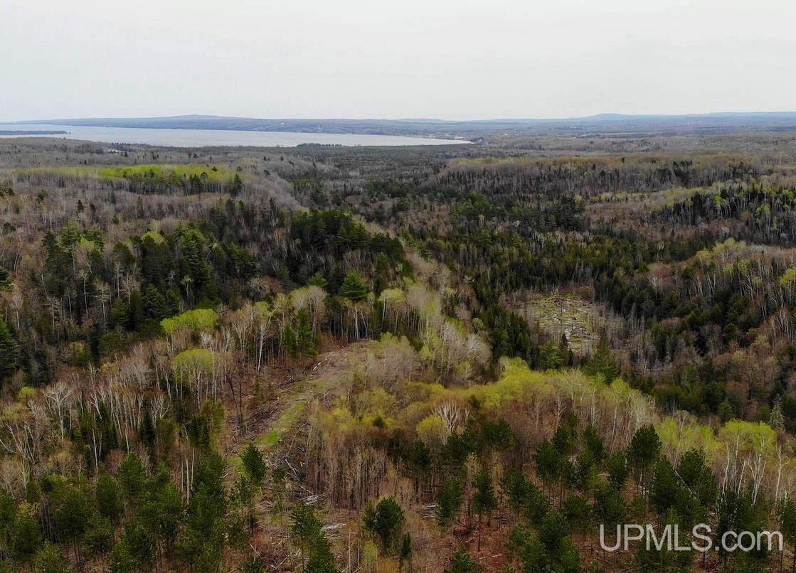 80 Acres, TBD80 Off Baraga Plains Road, Baraga, MI 49908 Land and Farm
