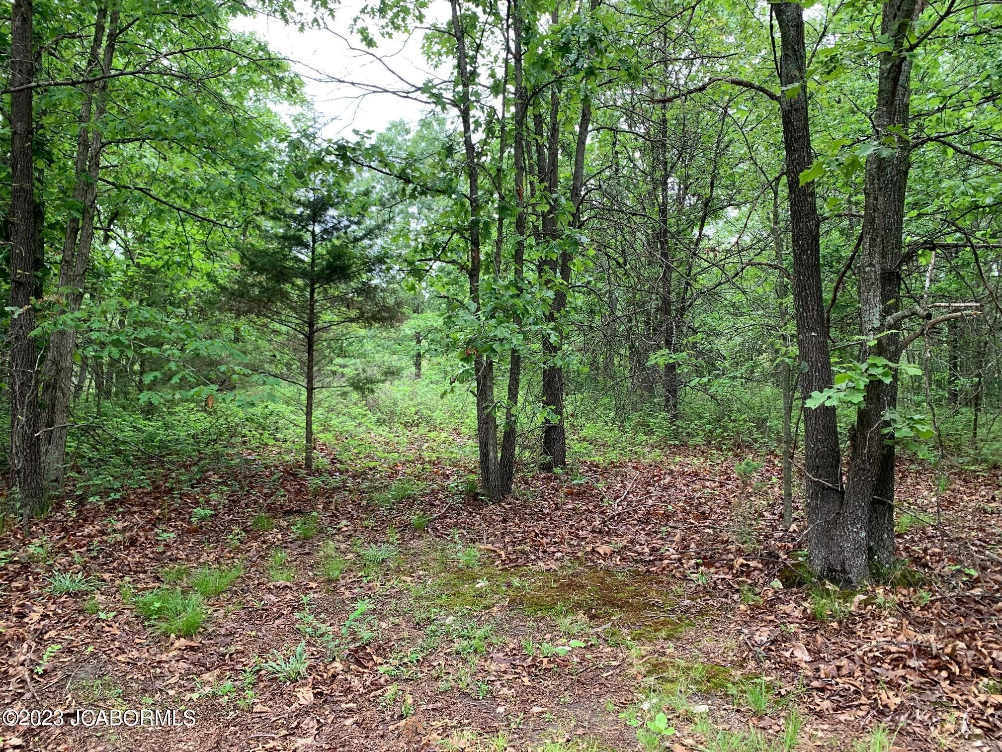 8.24 Acres, TBD MONARCH WAY, Versailles, MO 65084 Land and Farm